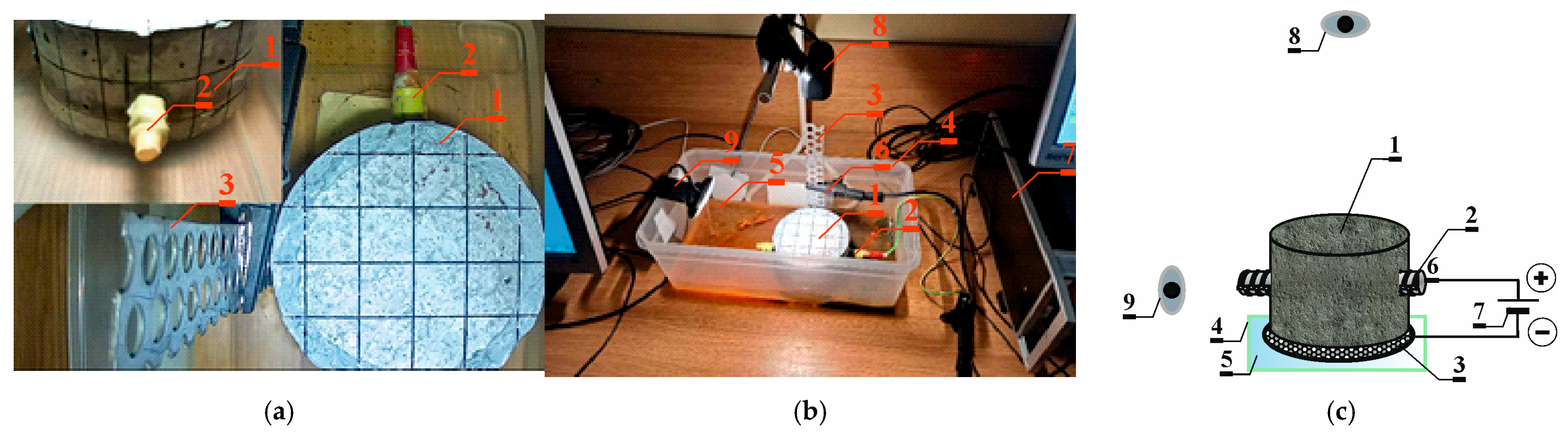 Materials 17 01398 g004