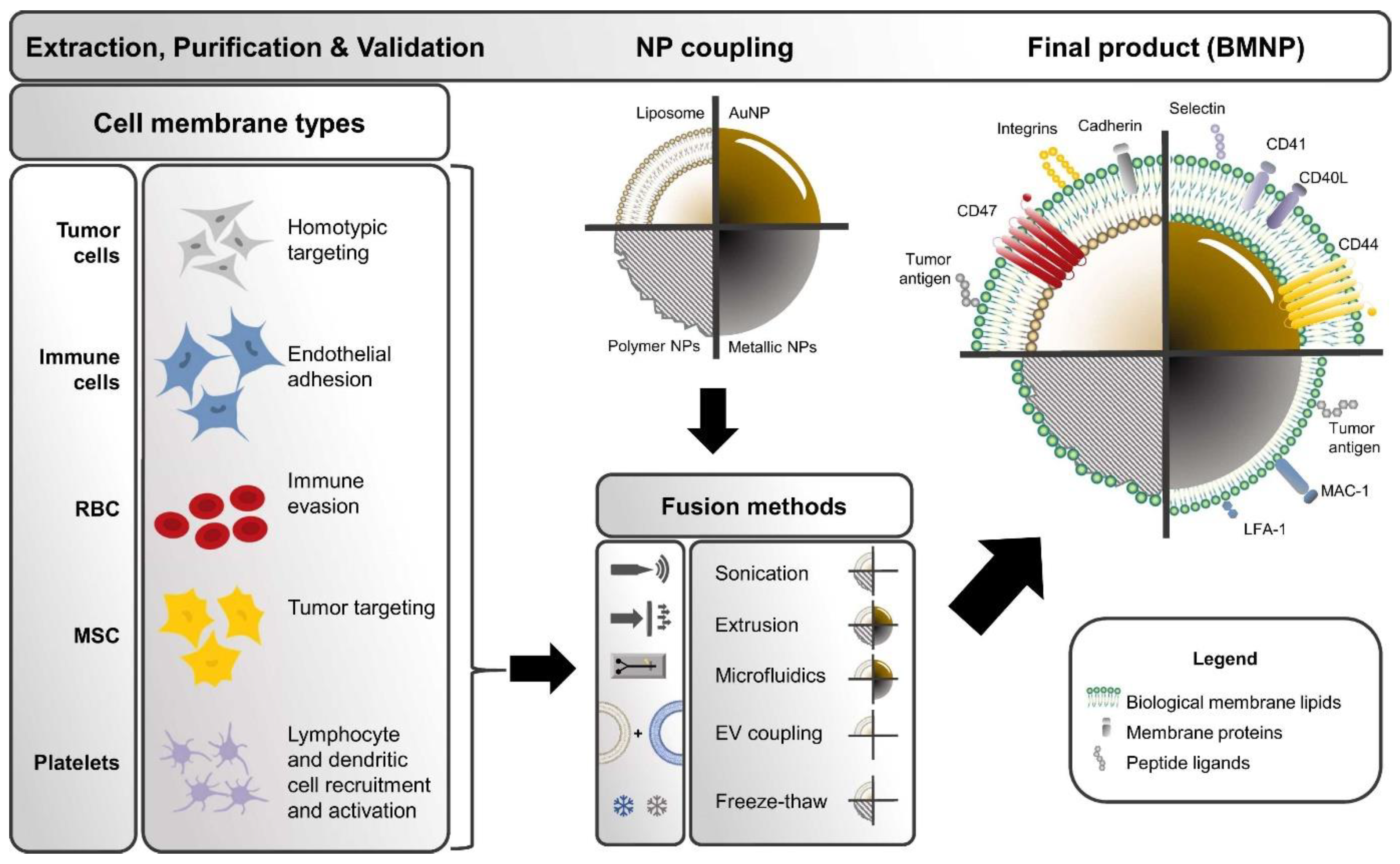 Materials 17 01423 g006
