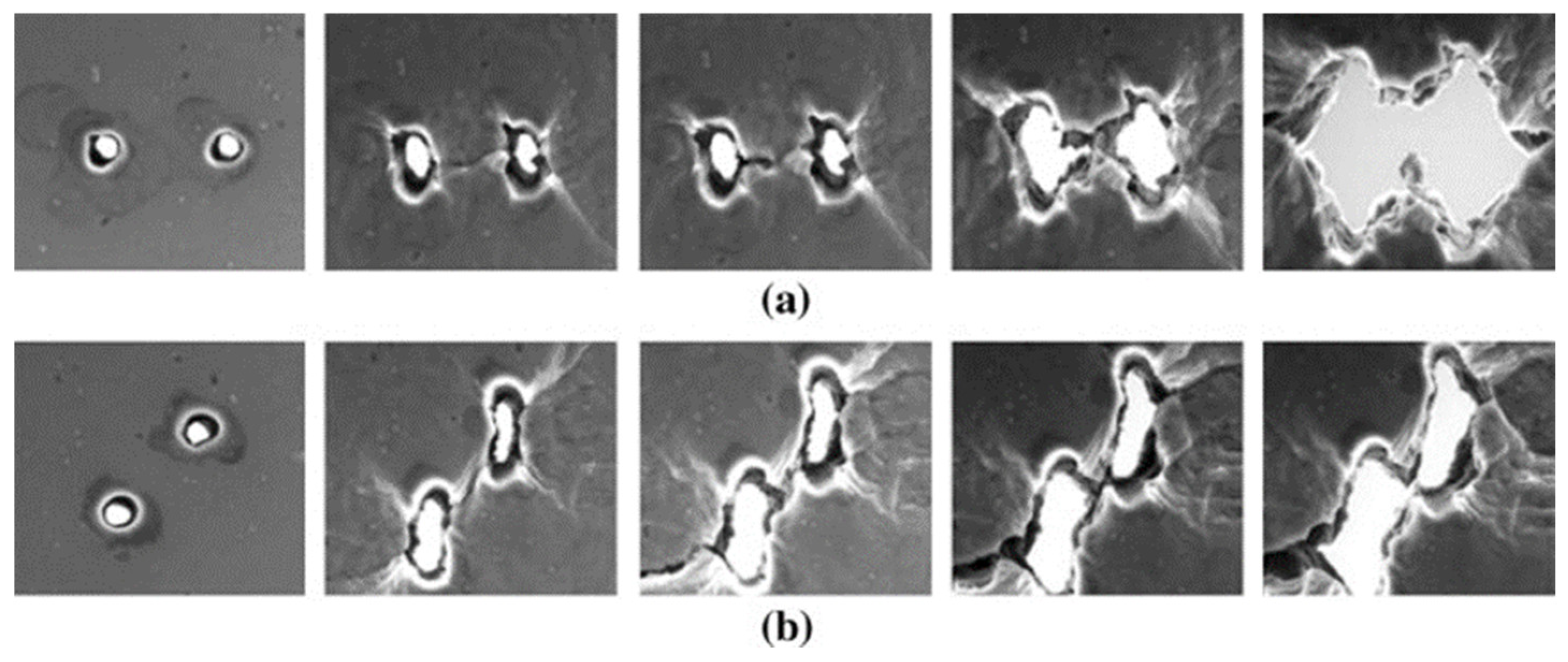 Materials 17 01424 g003