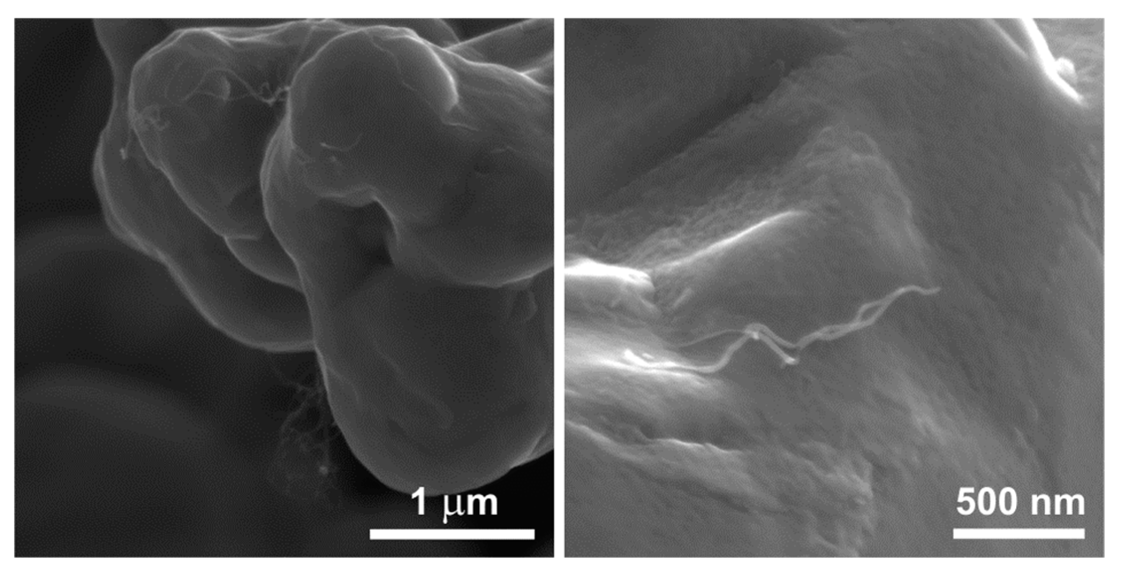 Materials 17 01427 g004