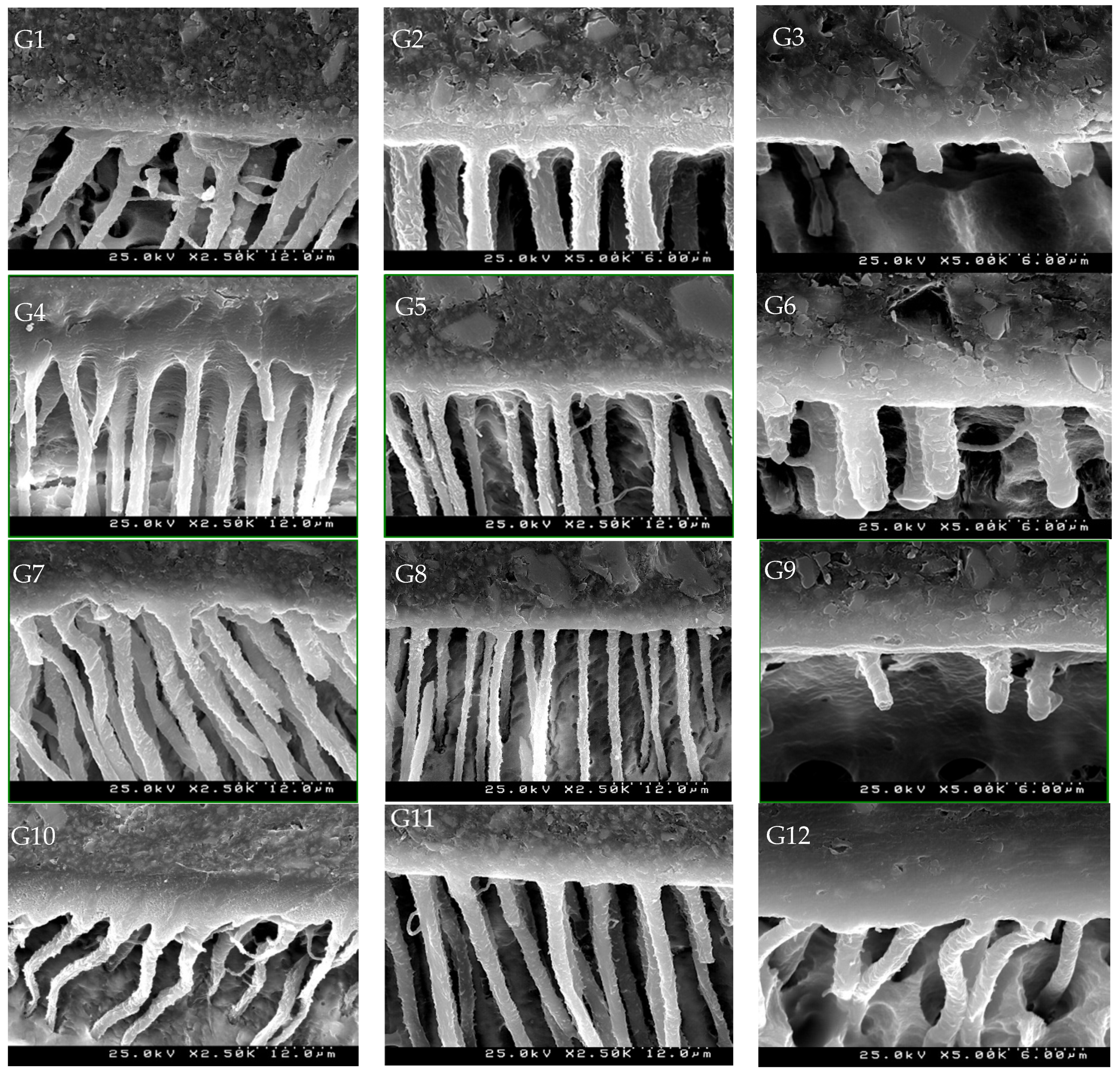 Materials 17 01432 g005 Materials 17 01432 g005