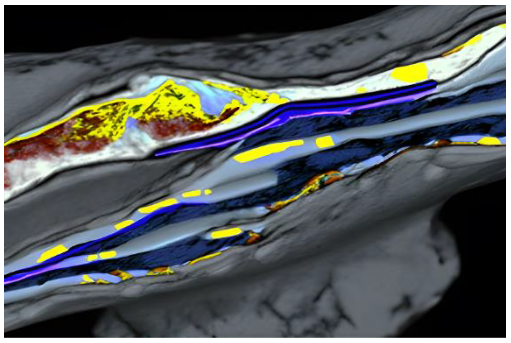 Materials 17 01436 g007