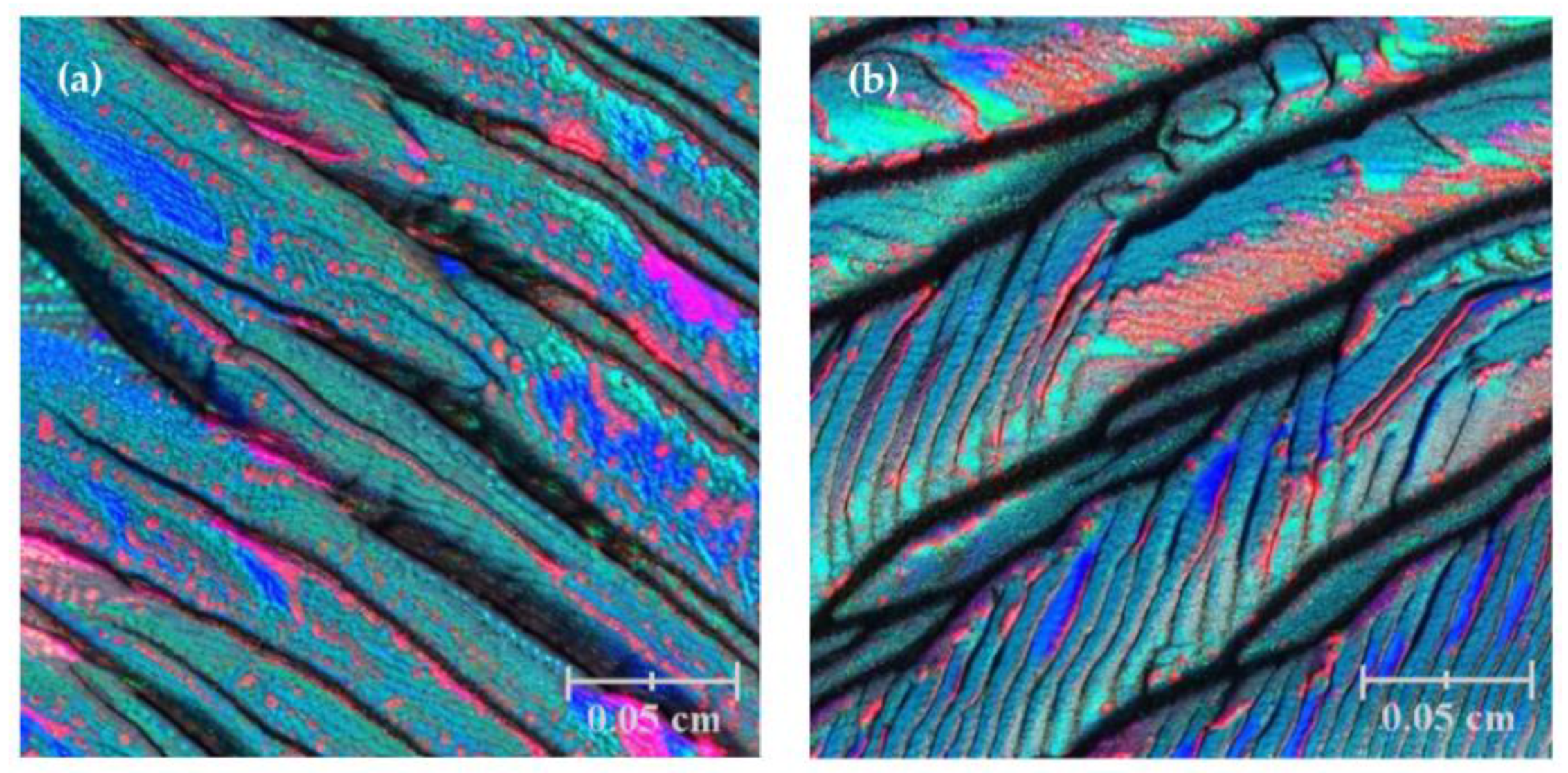 Materials 17 01436 g010