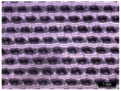 Materials 17 01439 i003 Materials 17 01439 i003