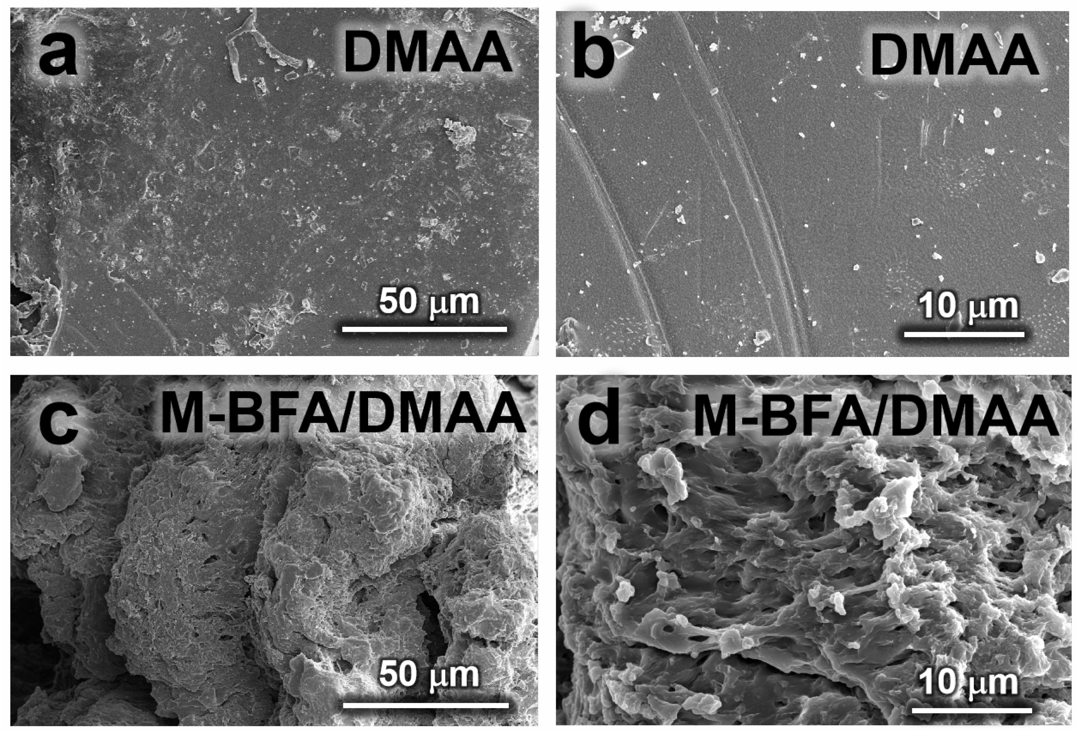 Materials 17 01448 g004