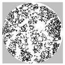 Materials 17 01449 i001