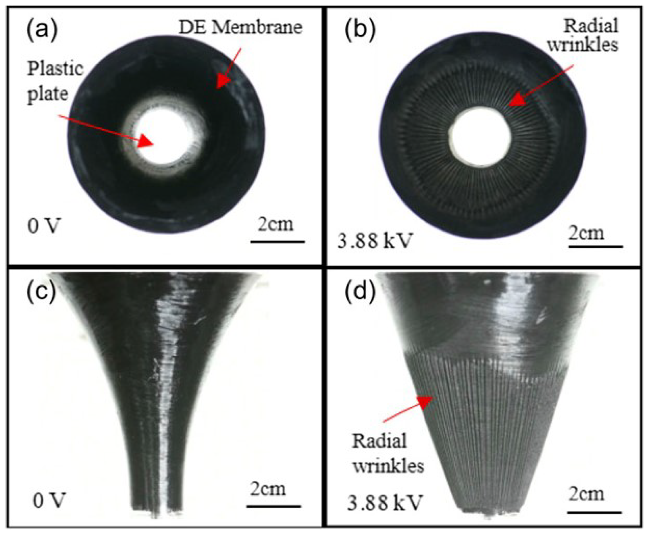 Materials 17 01499 g008