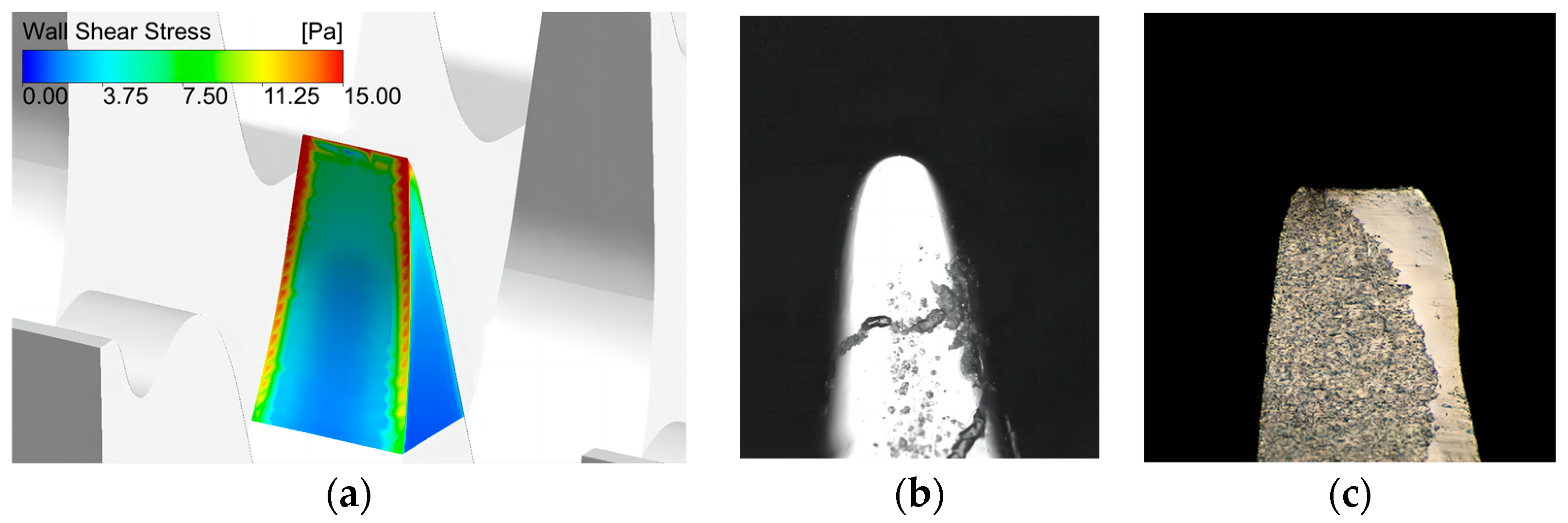 Materials 17 01511 g009