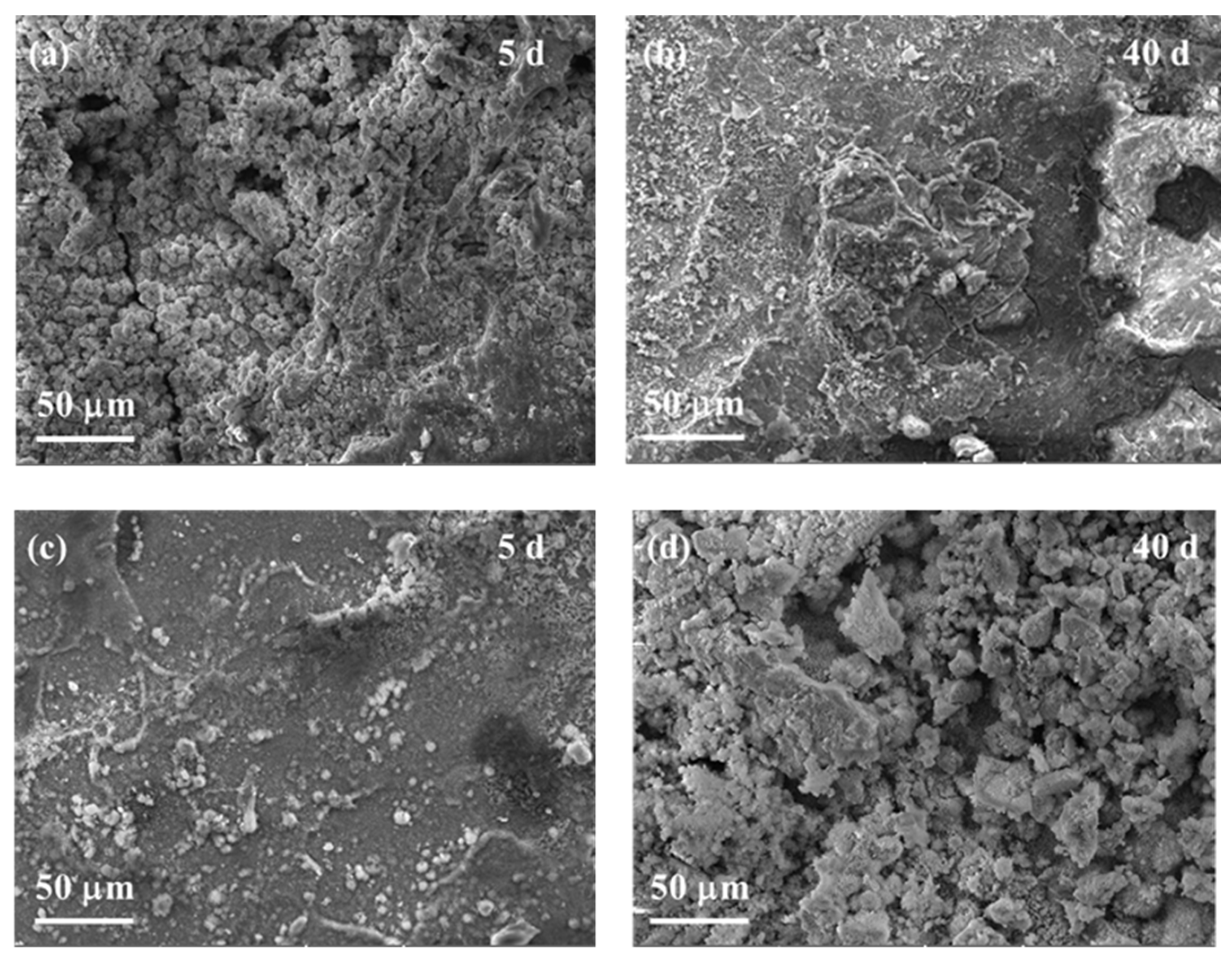 Materials 17 01512 g004