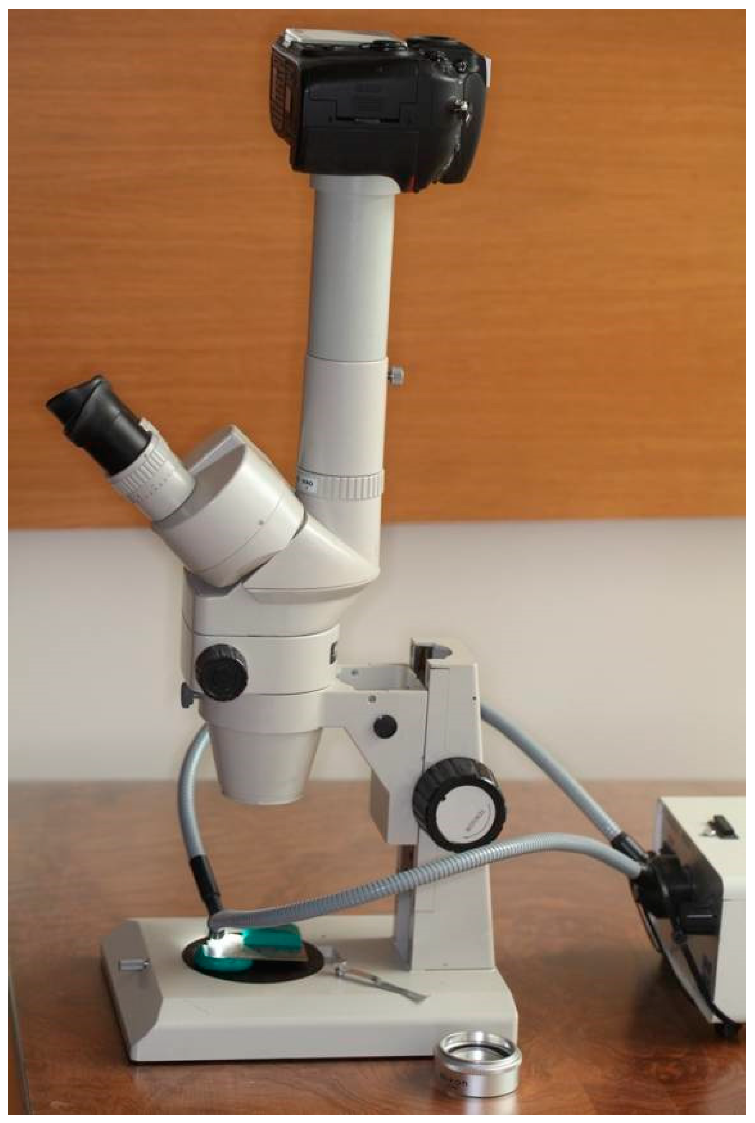 Materials 17 01519 g002