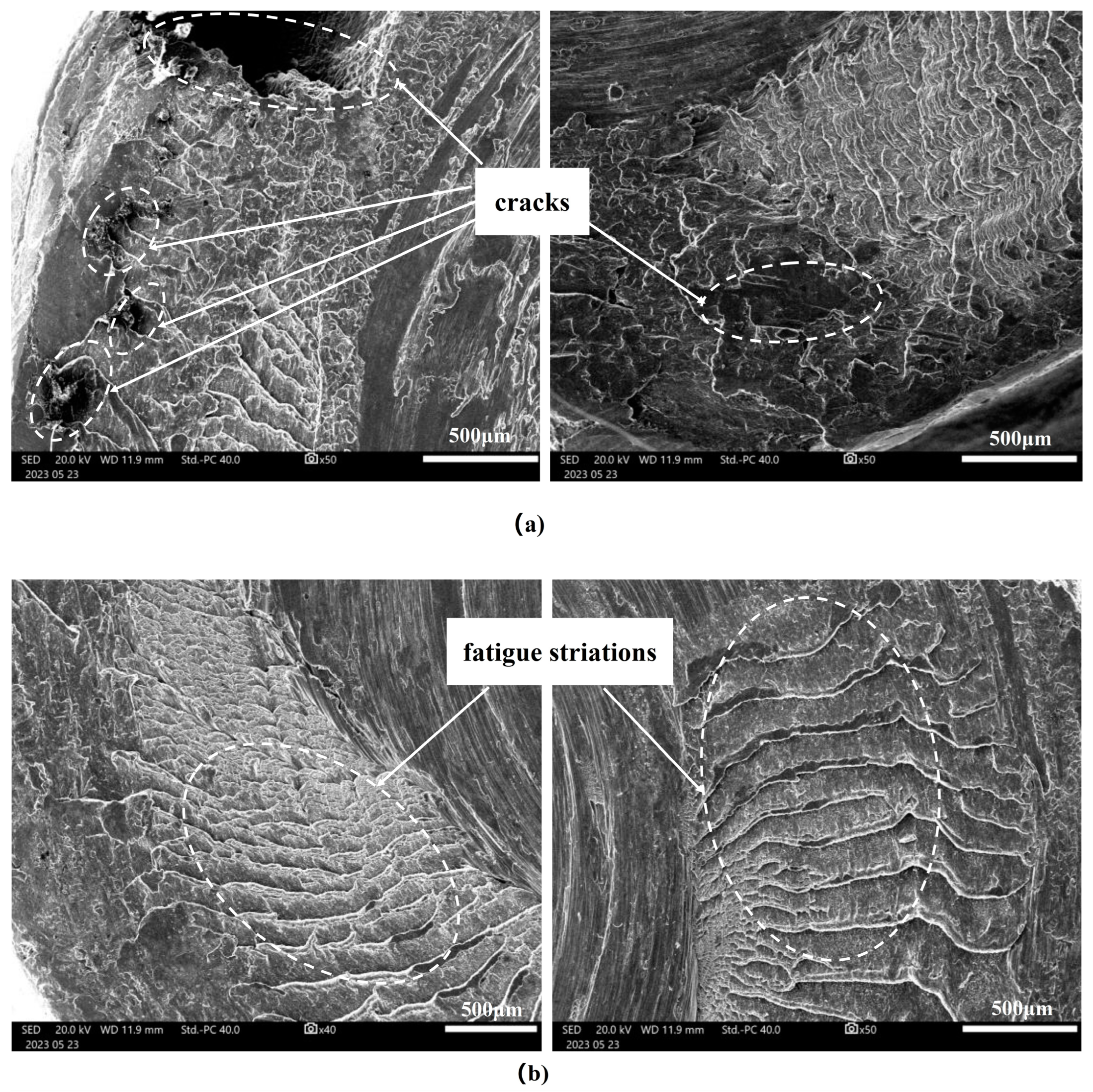 Materials 17 01535 g007