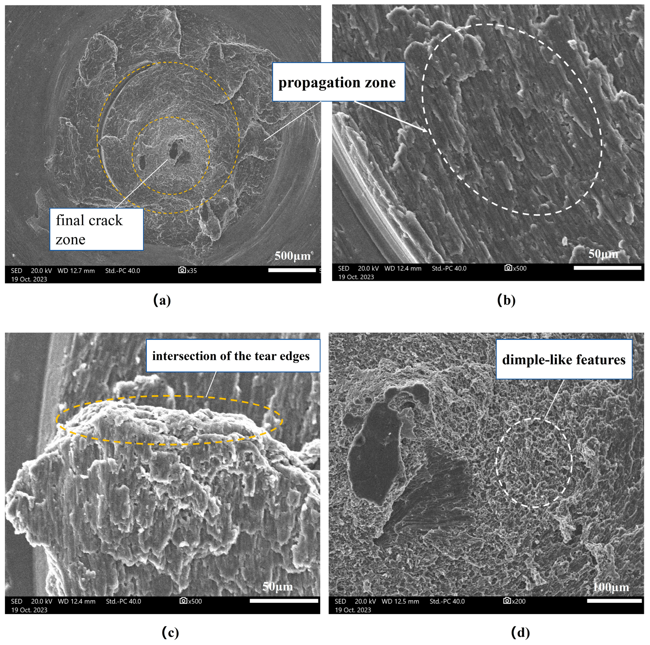 Materials 17 01535 g008