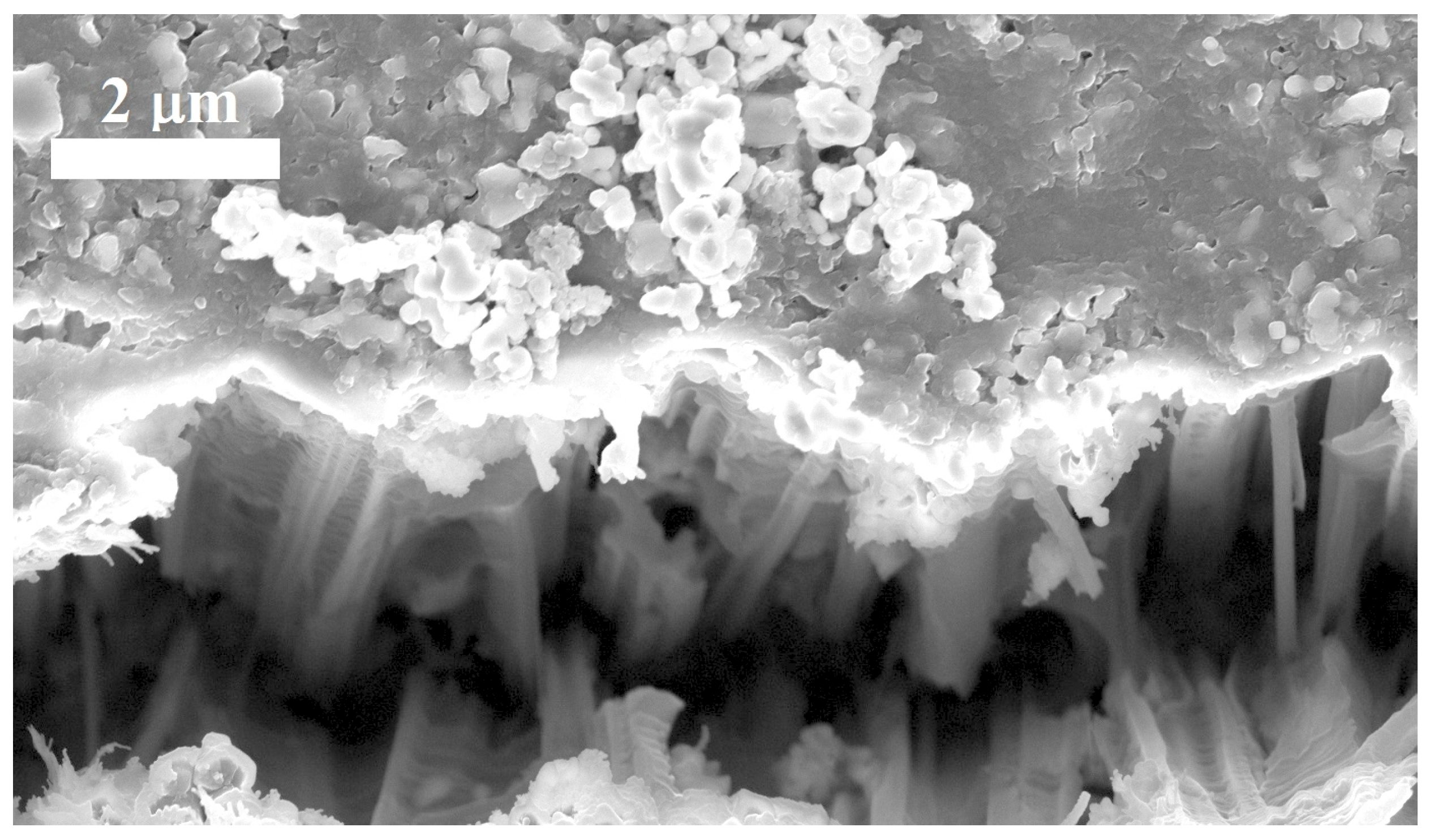 Materials 17 01549 g005