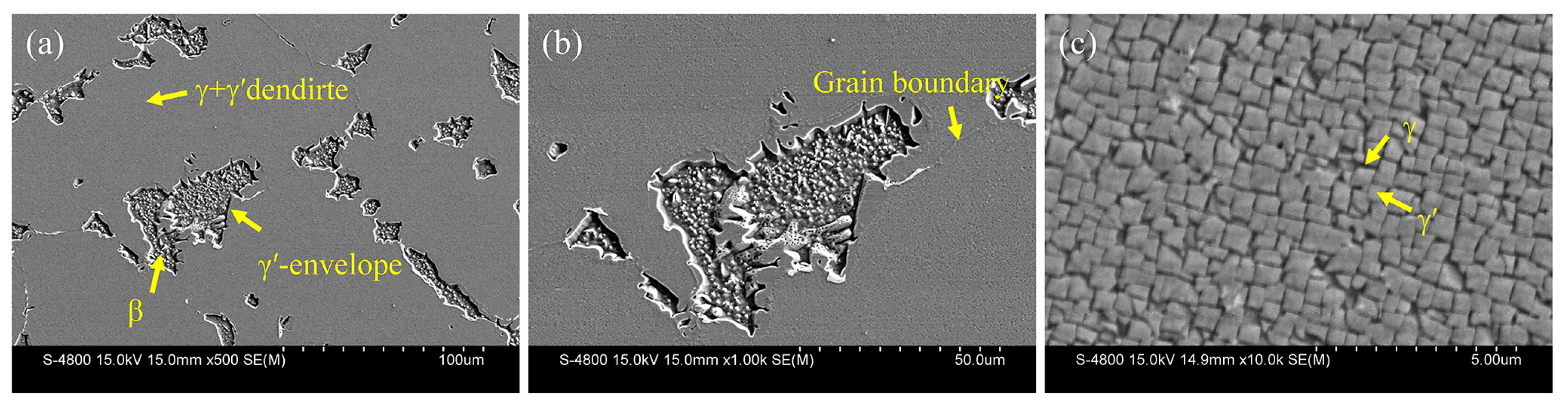 Oxidation Behavior of Pre-Strained Polycrystalline Ni3Al
