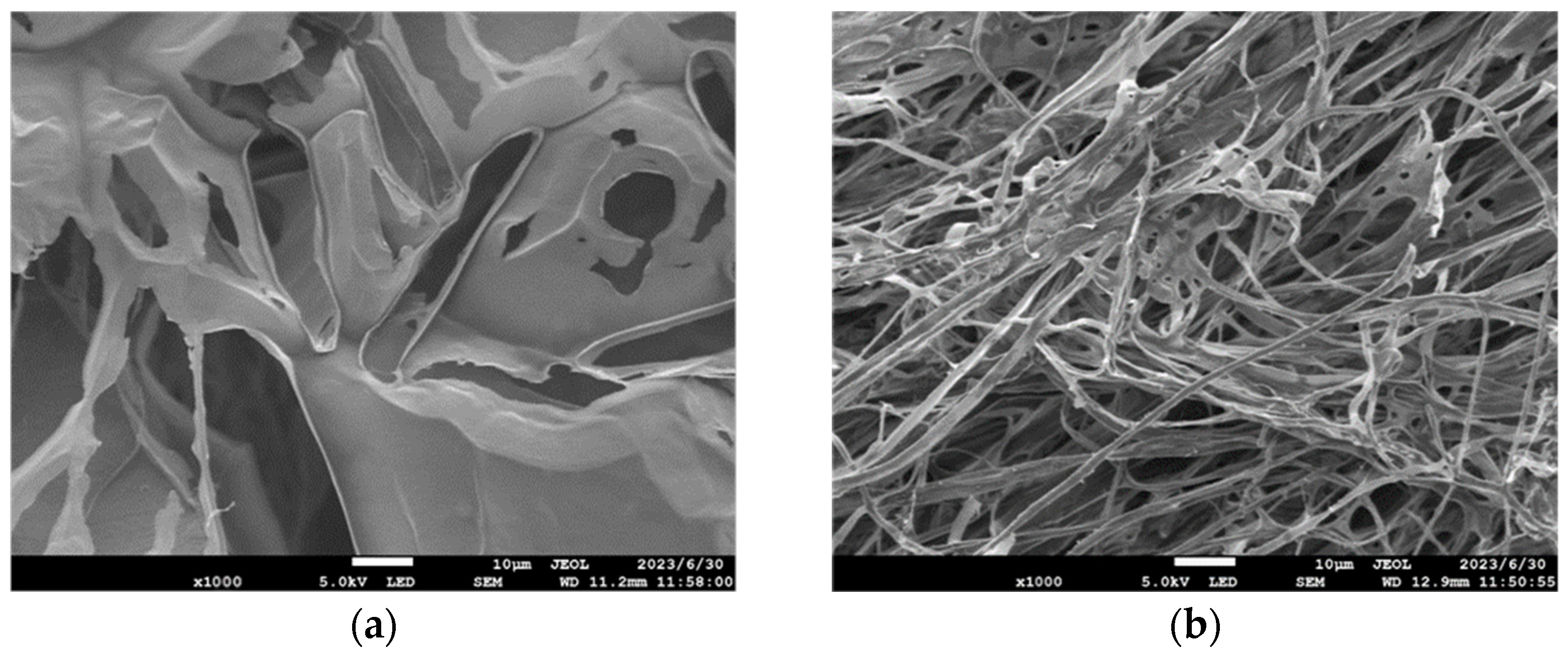 Materials 17 01564 g005