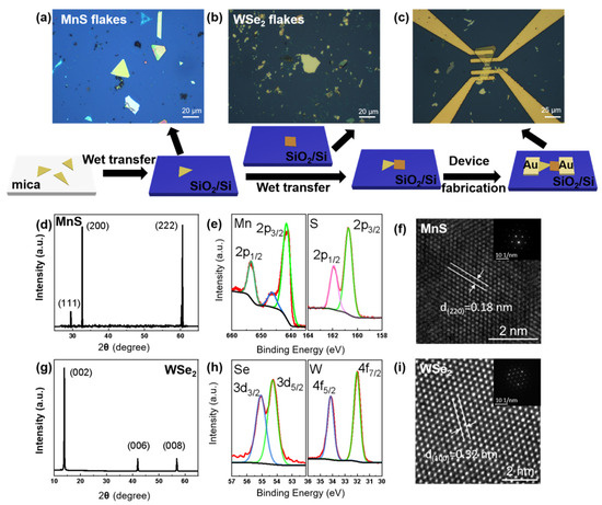 A Broadband Photodetector Based on Non-Layered MnS/WSe2 Type-I ...
