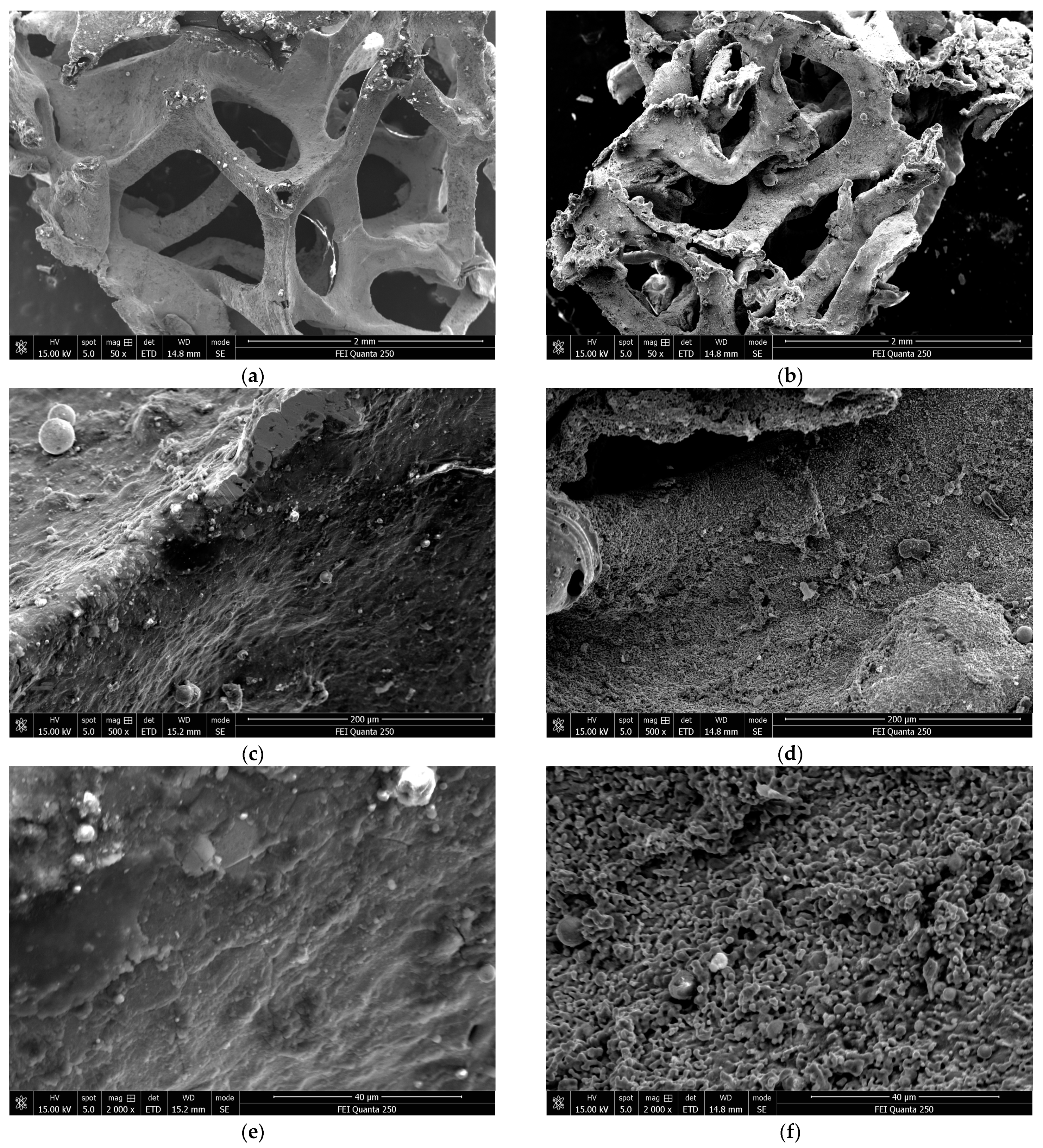 Materials 17 01596 g010