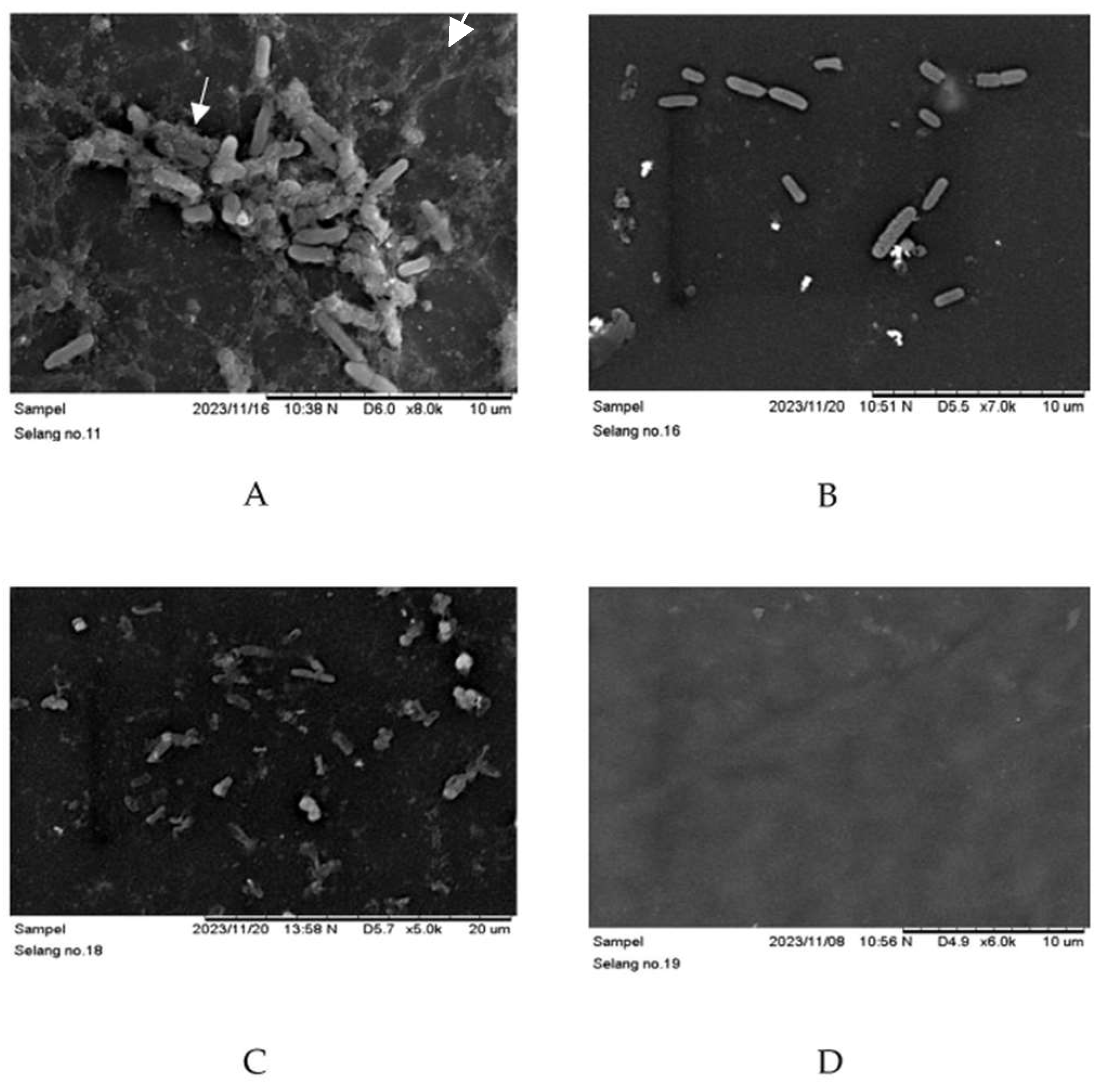 Materials 17 01604 g004