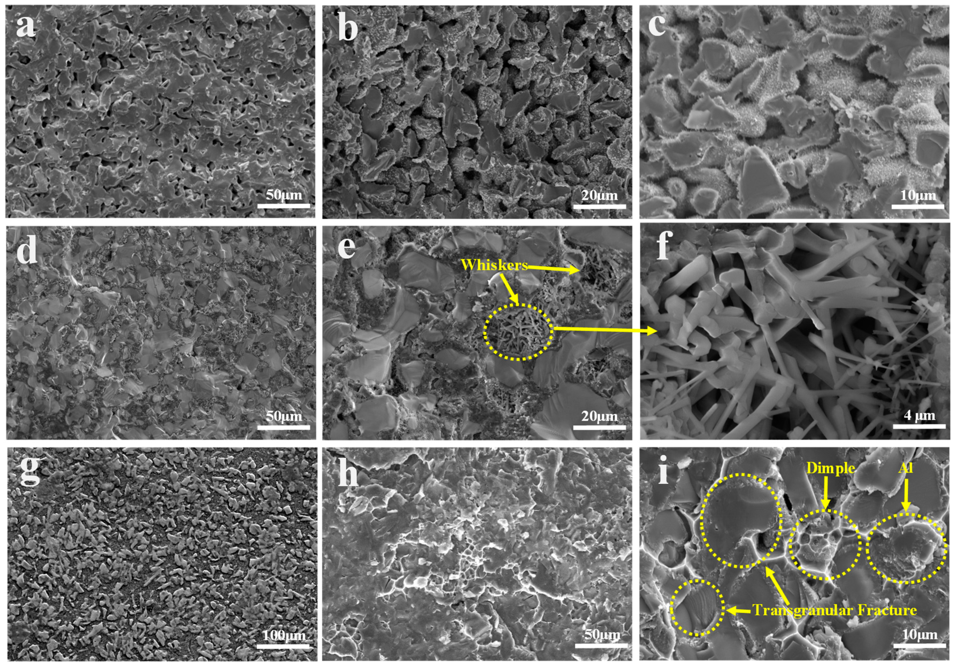 Materials 17 01608 g010