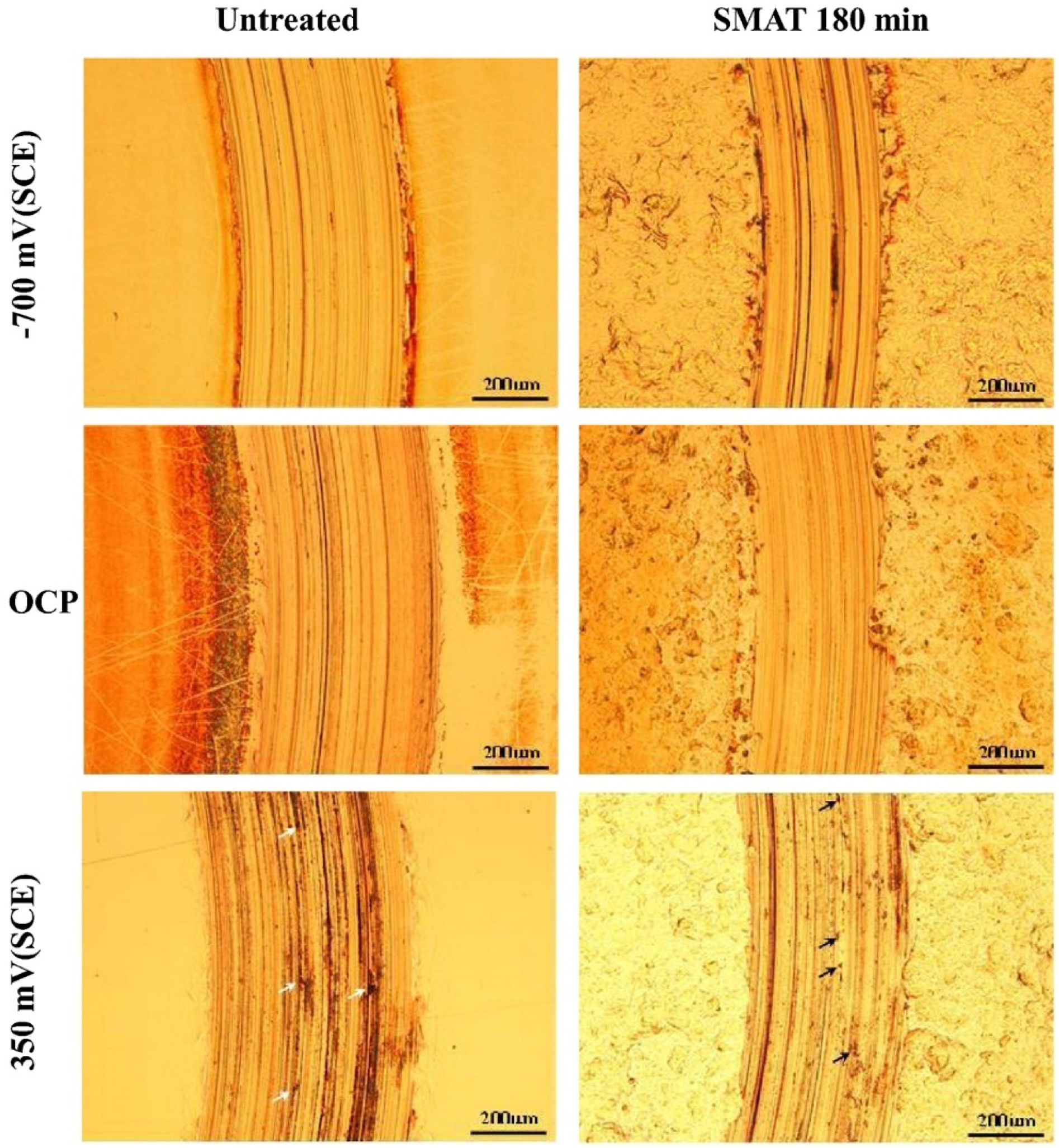 Materials 17 01618 g005