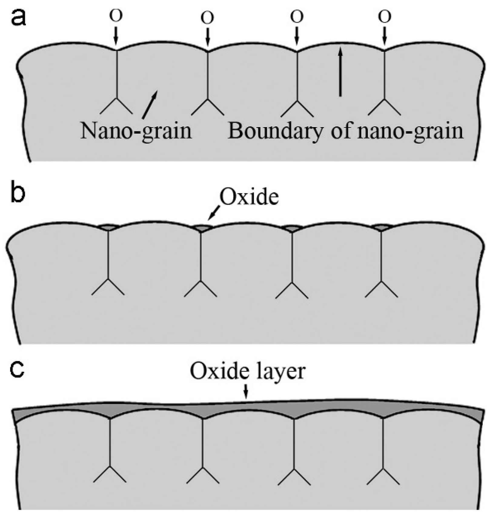Materials 17 01618 g017