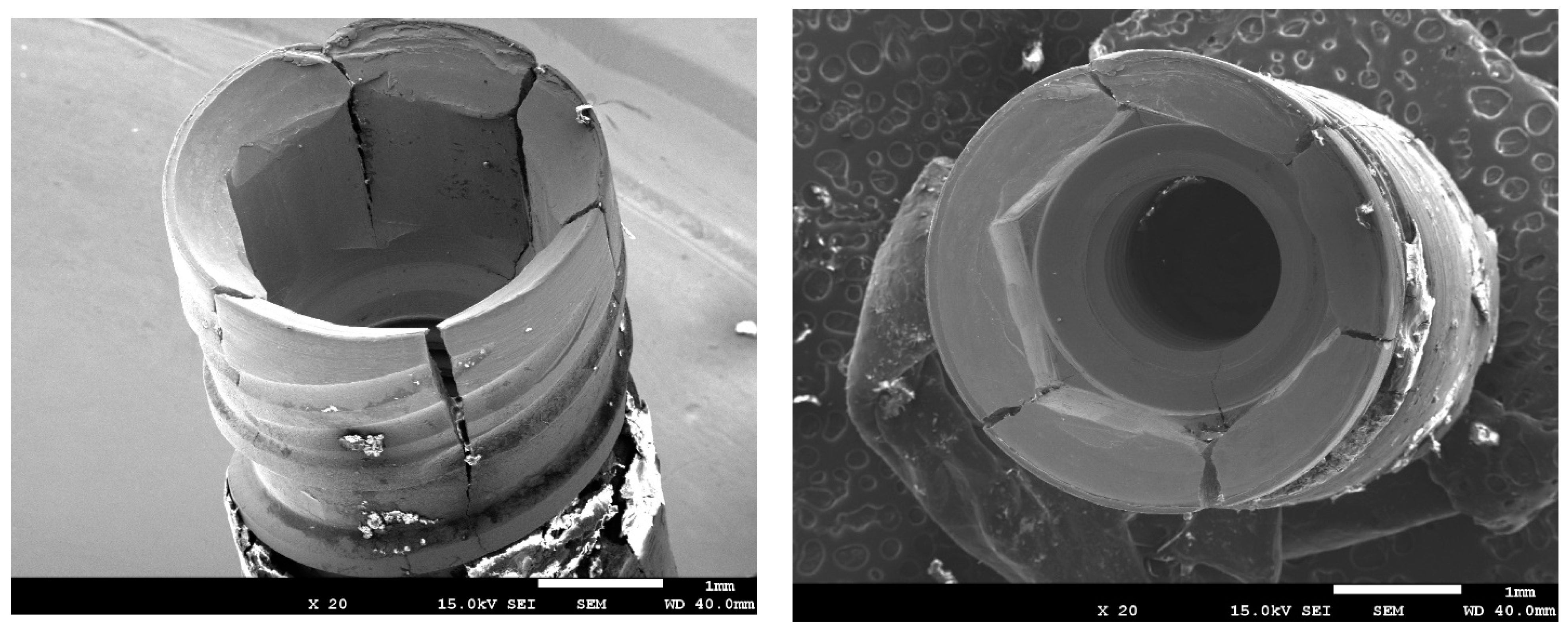 Materials 17 01626 g005