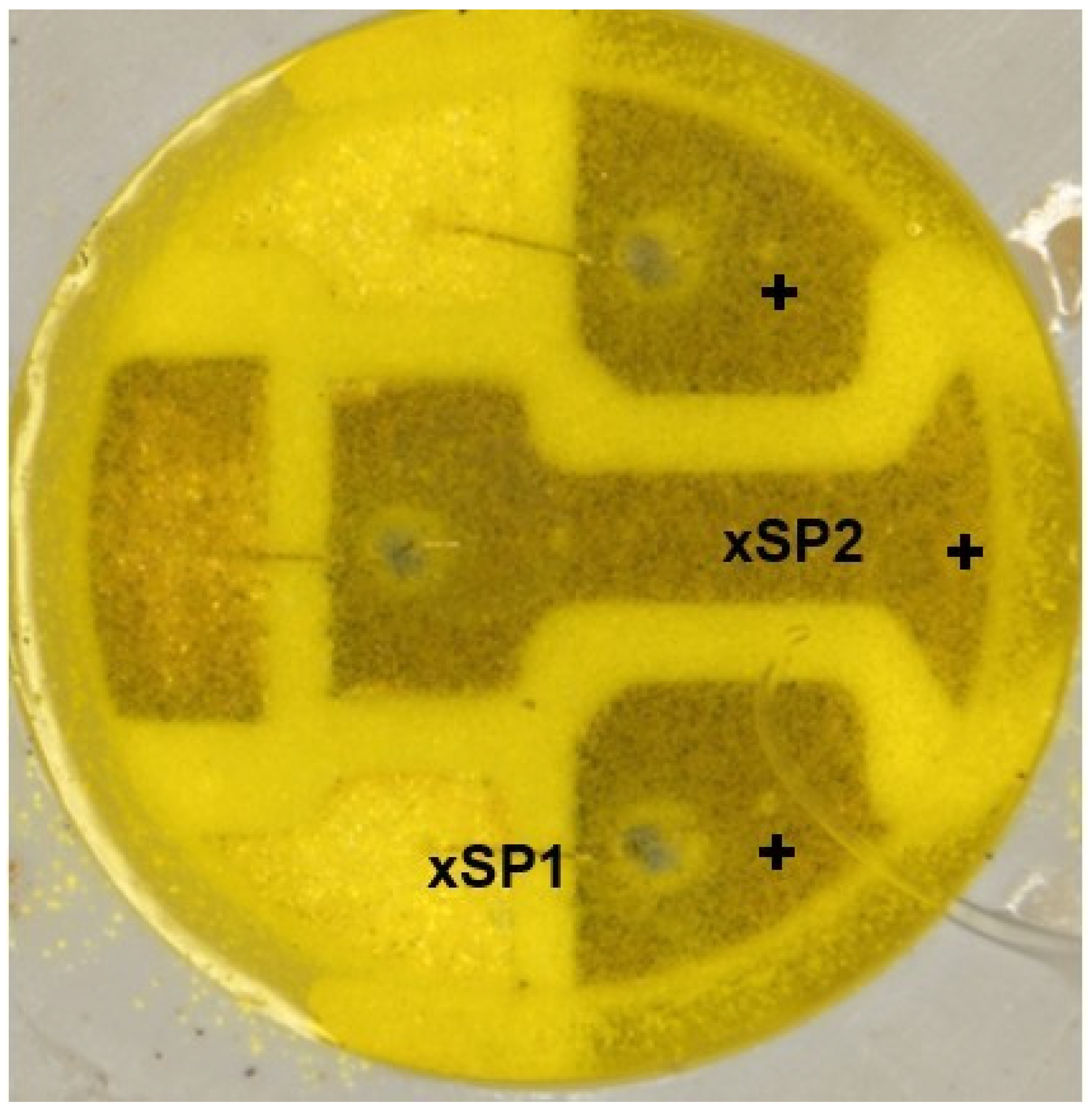 Materials 17 01643 g014