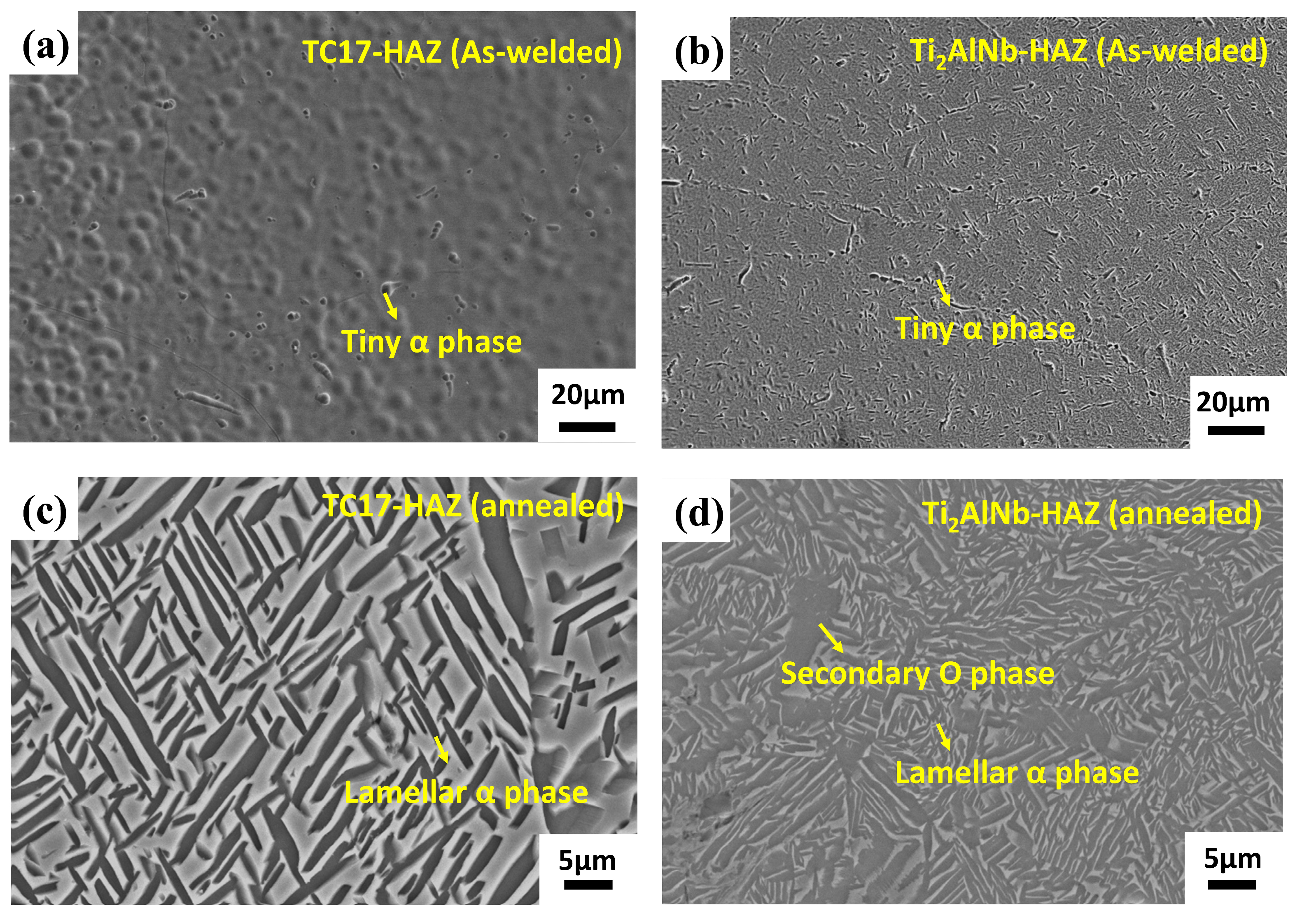 Materials 17 01654 g005