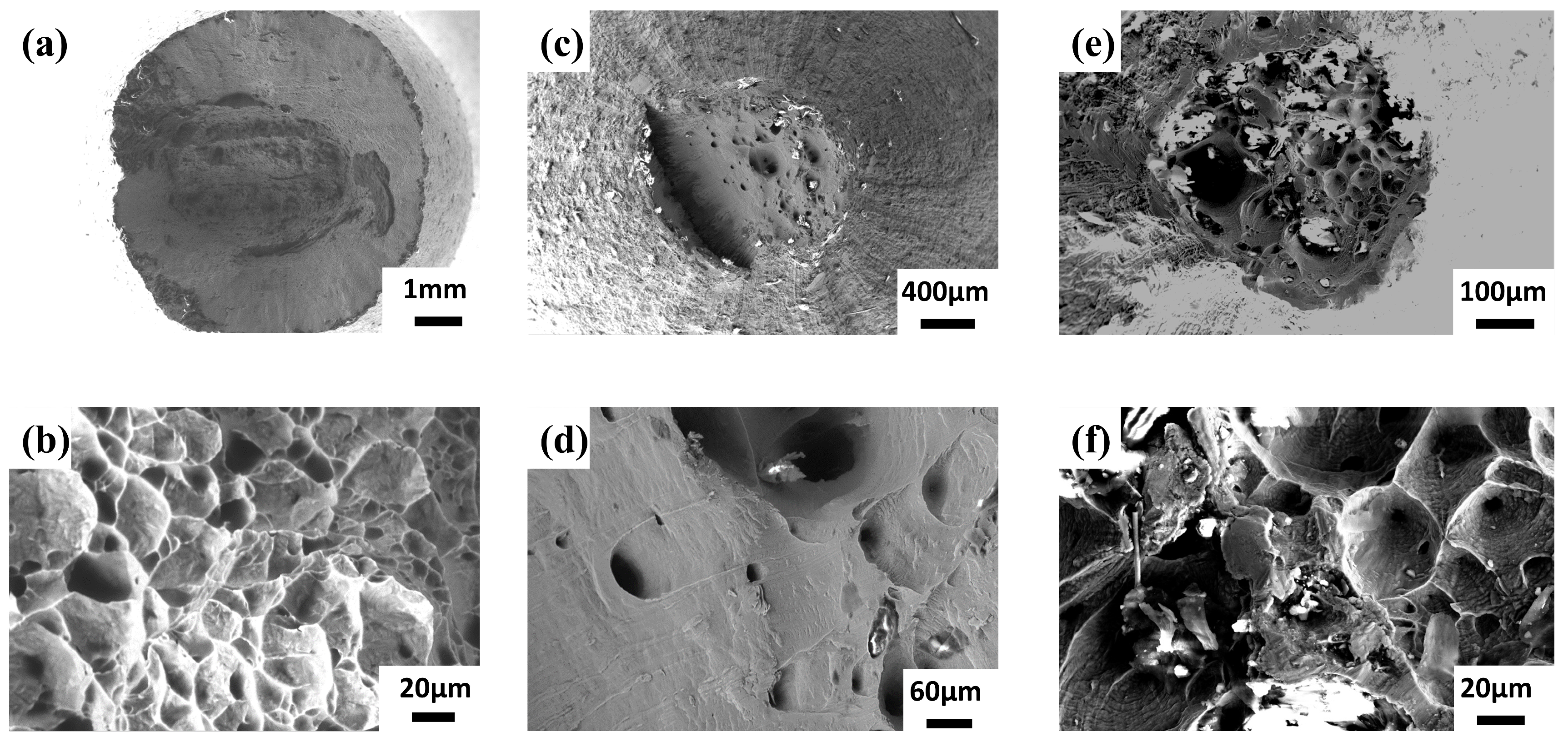 Materials 17 01654 g011