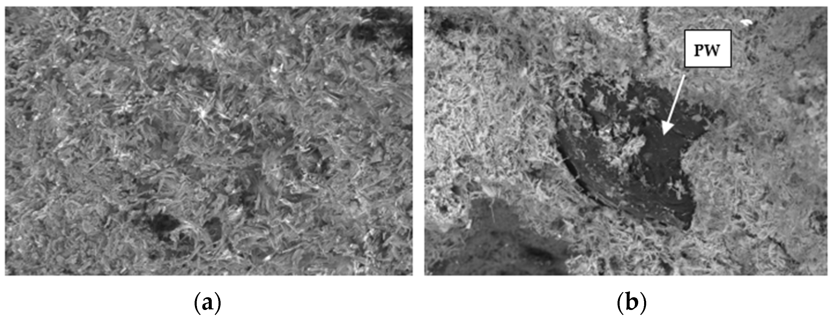 Materials 17 01663 g006