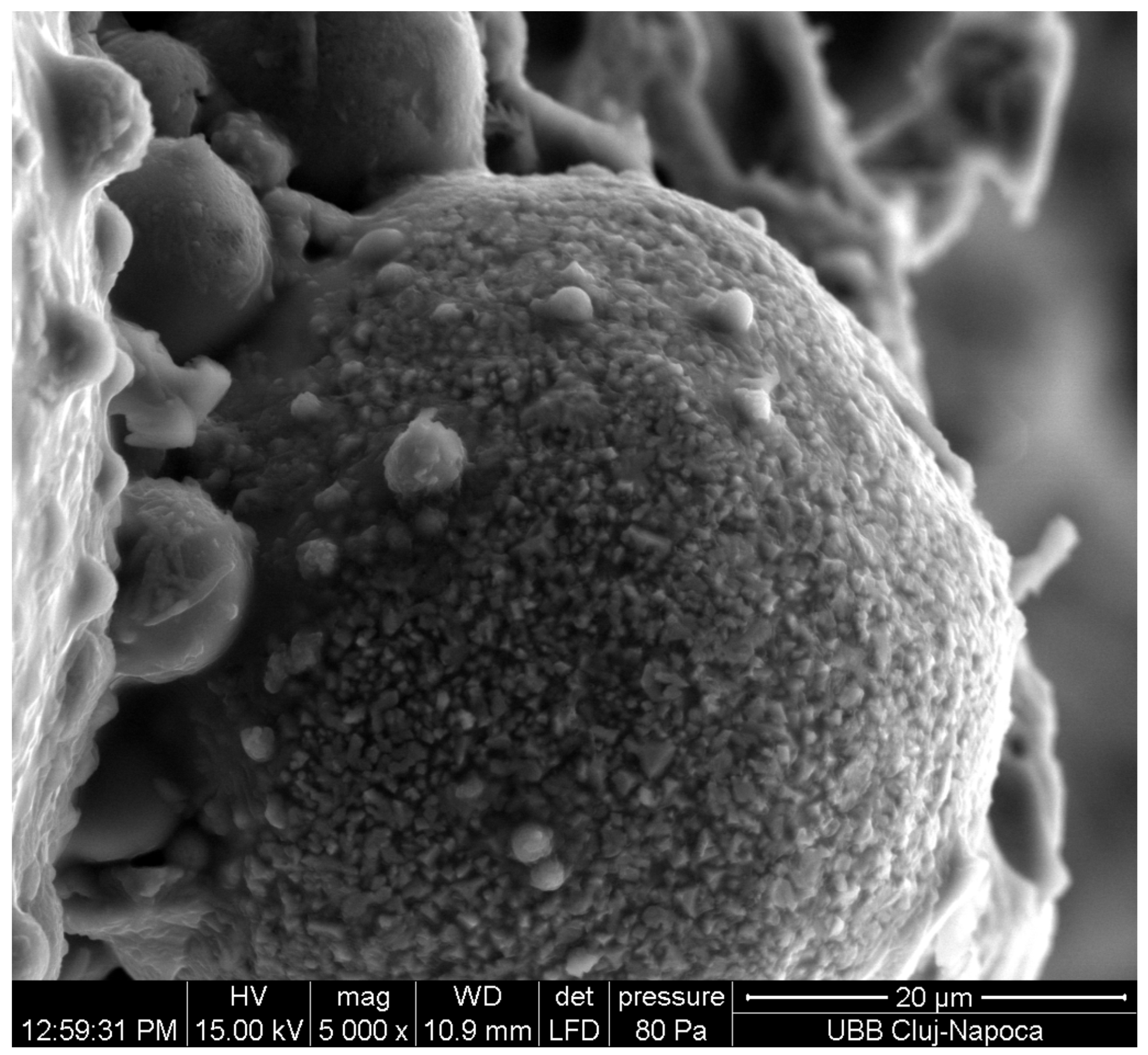 Materials 17 01696 g005