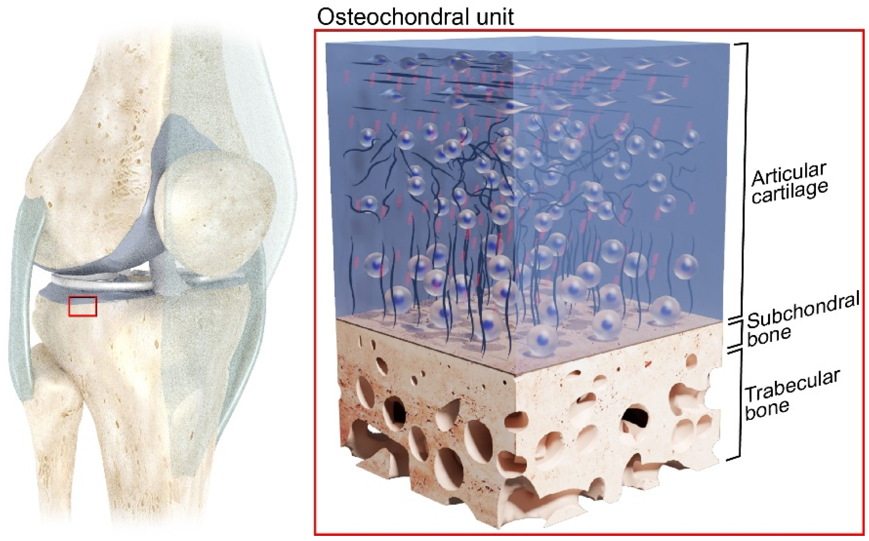 Materials 17 01698 g001
