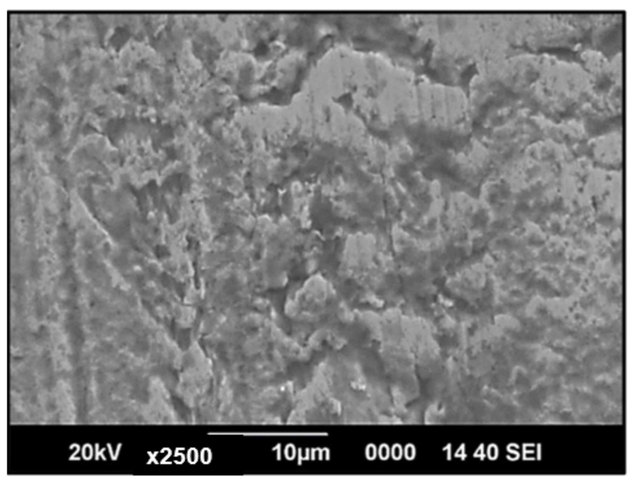 Materials 17 01708 g010