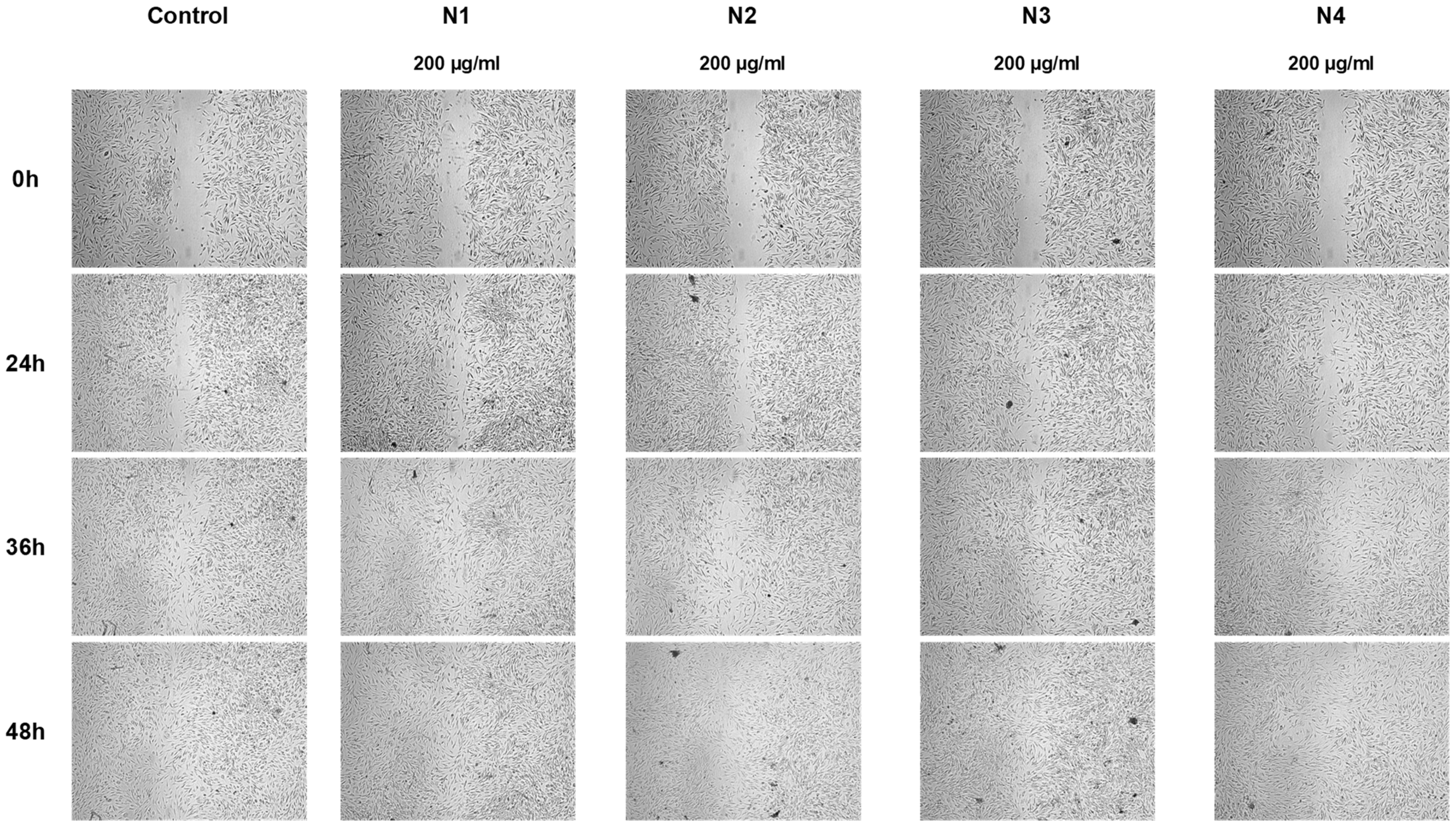 Materials 17 01736 g006