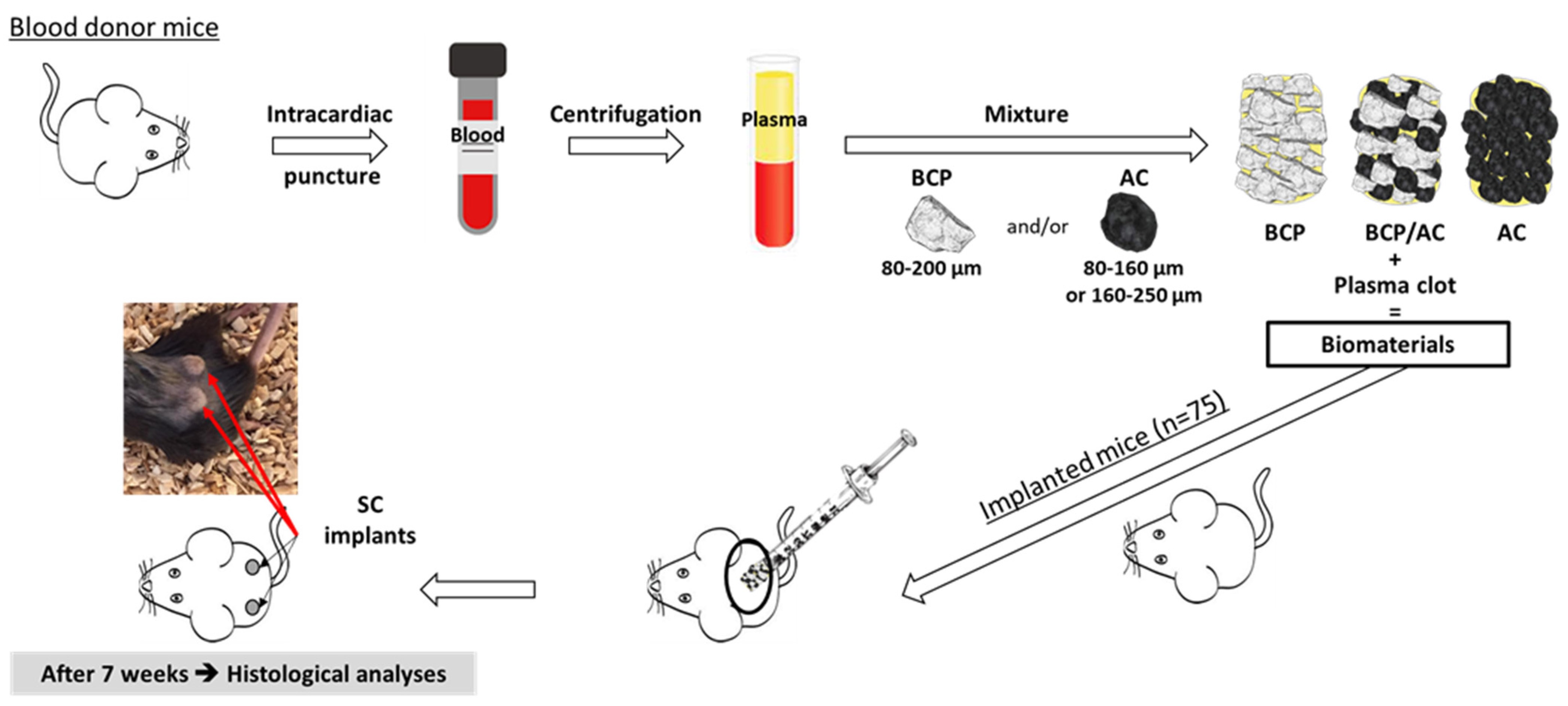 Materials 17 01749 g001