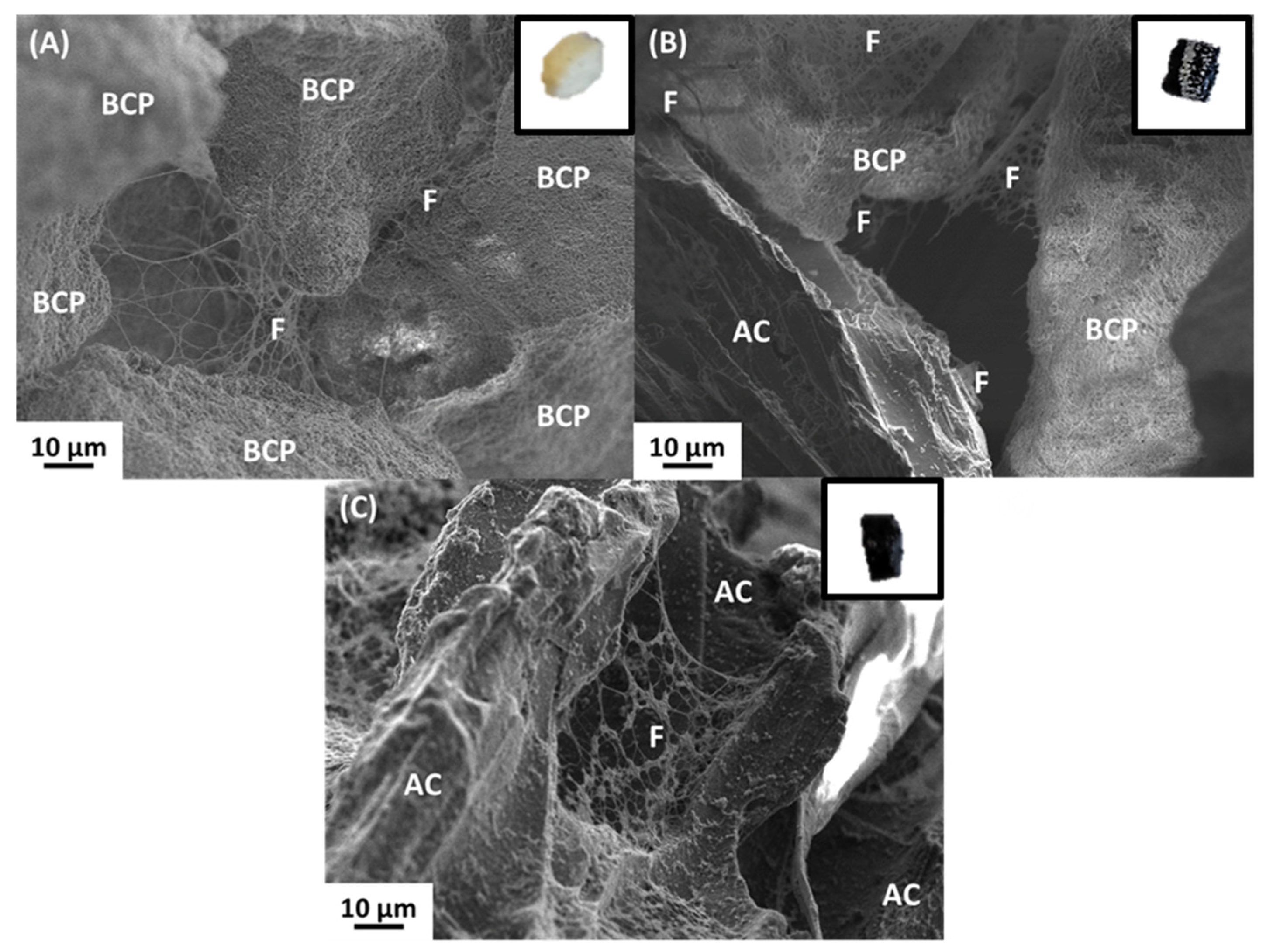 Materials 17 01749 g002