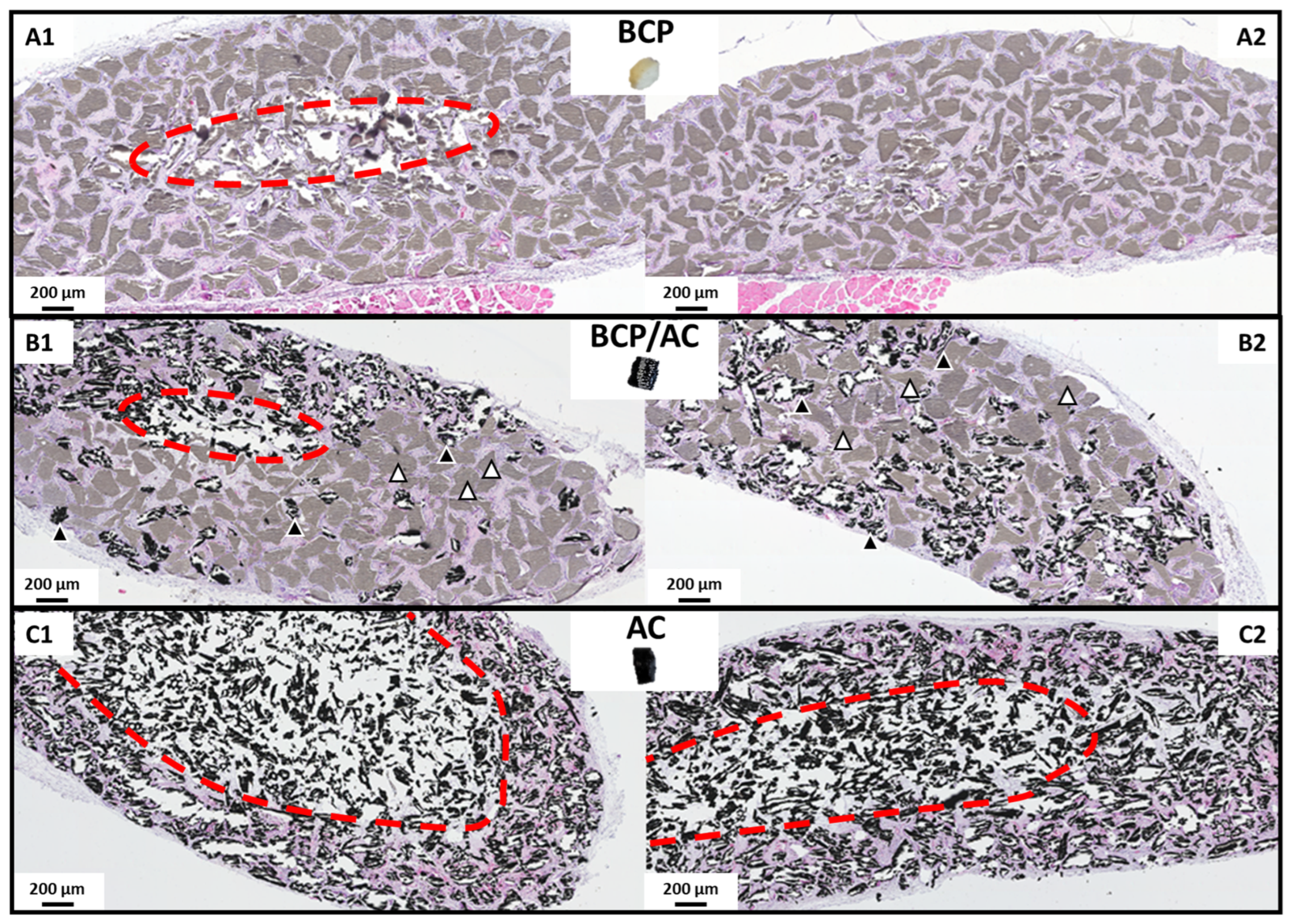 Materials 17 01749 g003