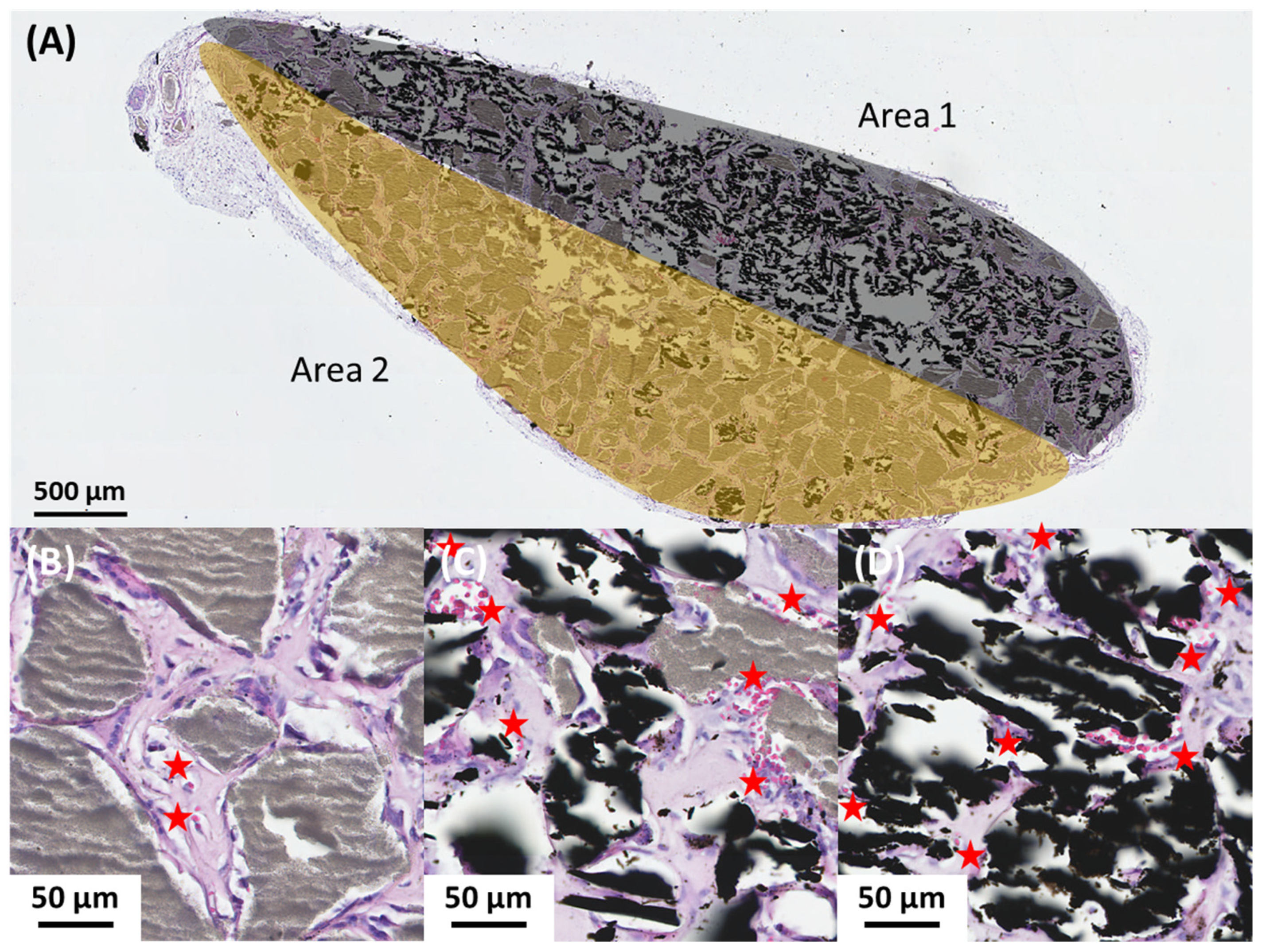 Materials 17 01749 g006