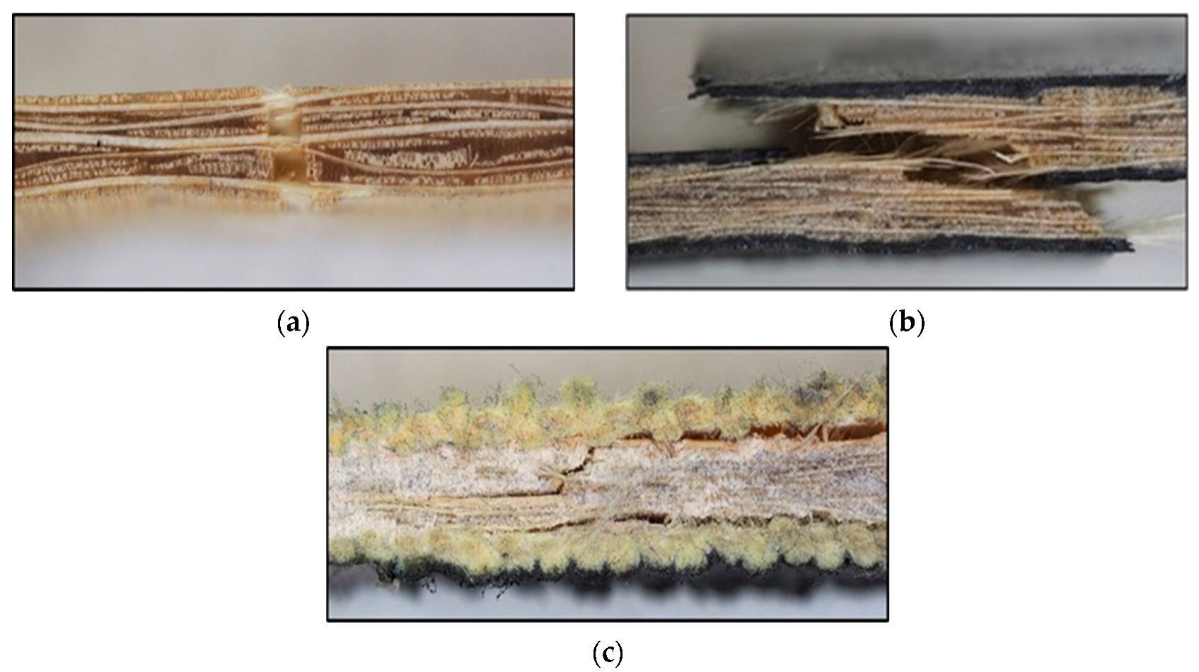 Materials 17 01777 g008