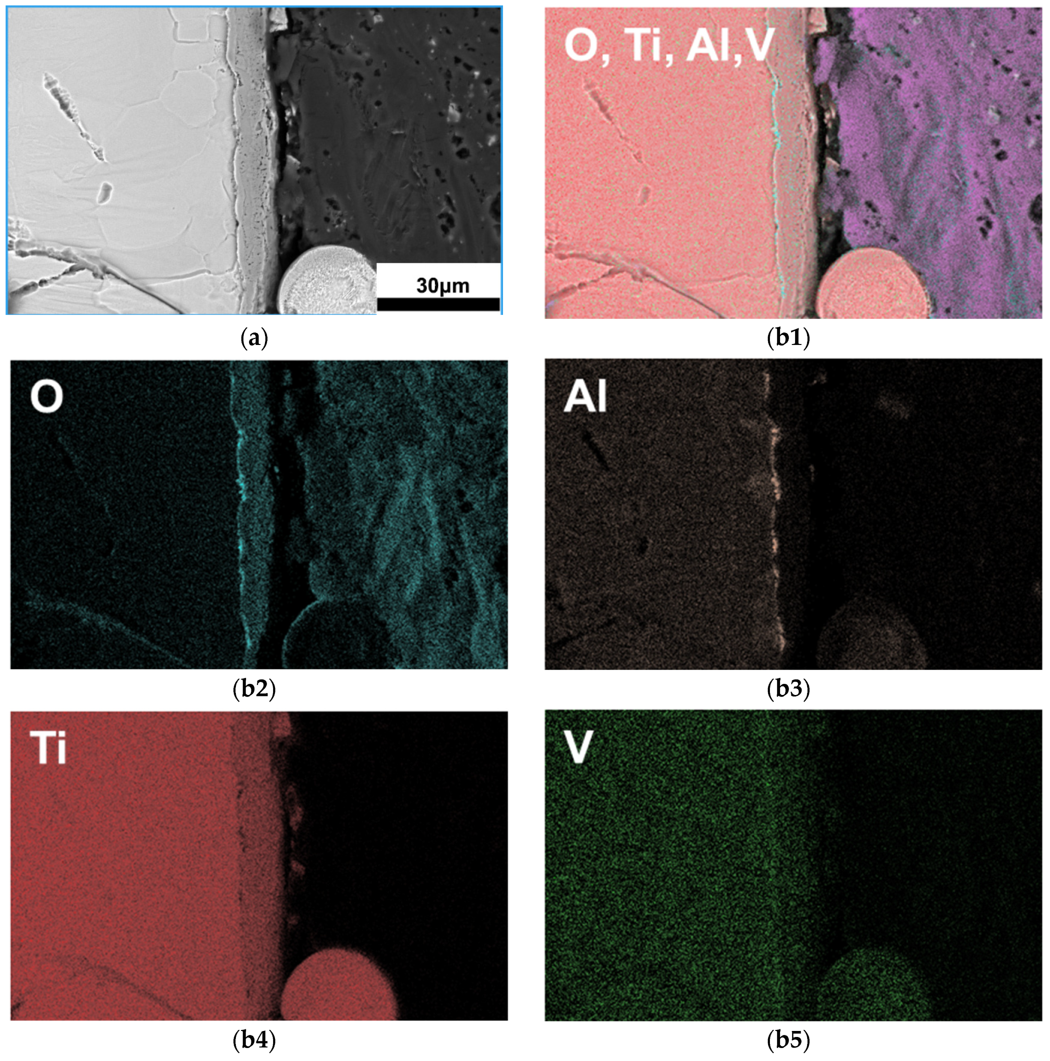 Materials 17 01778 g005