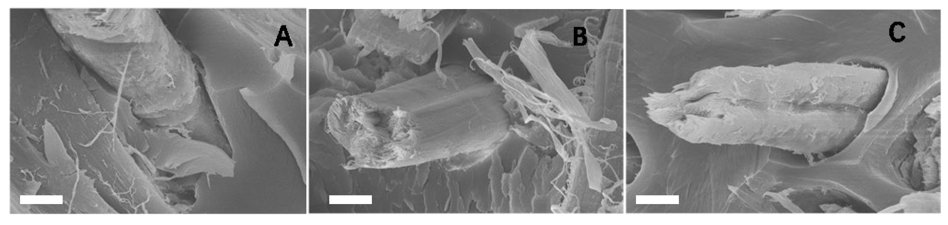 Materials 17 01779 g003