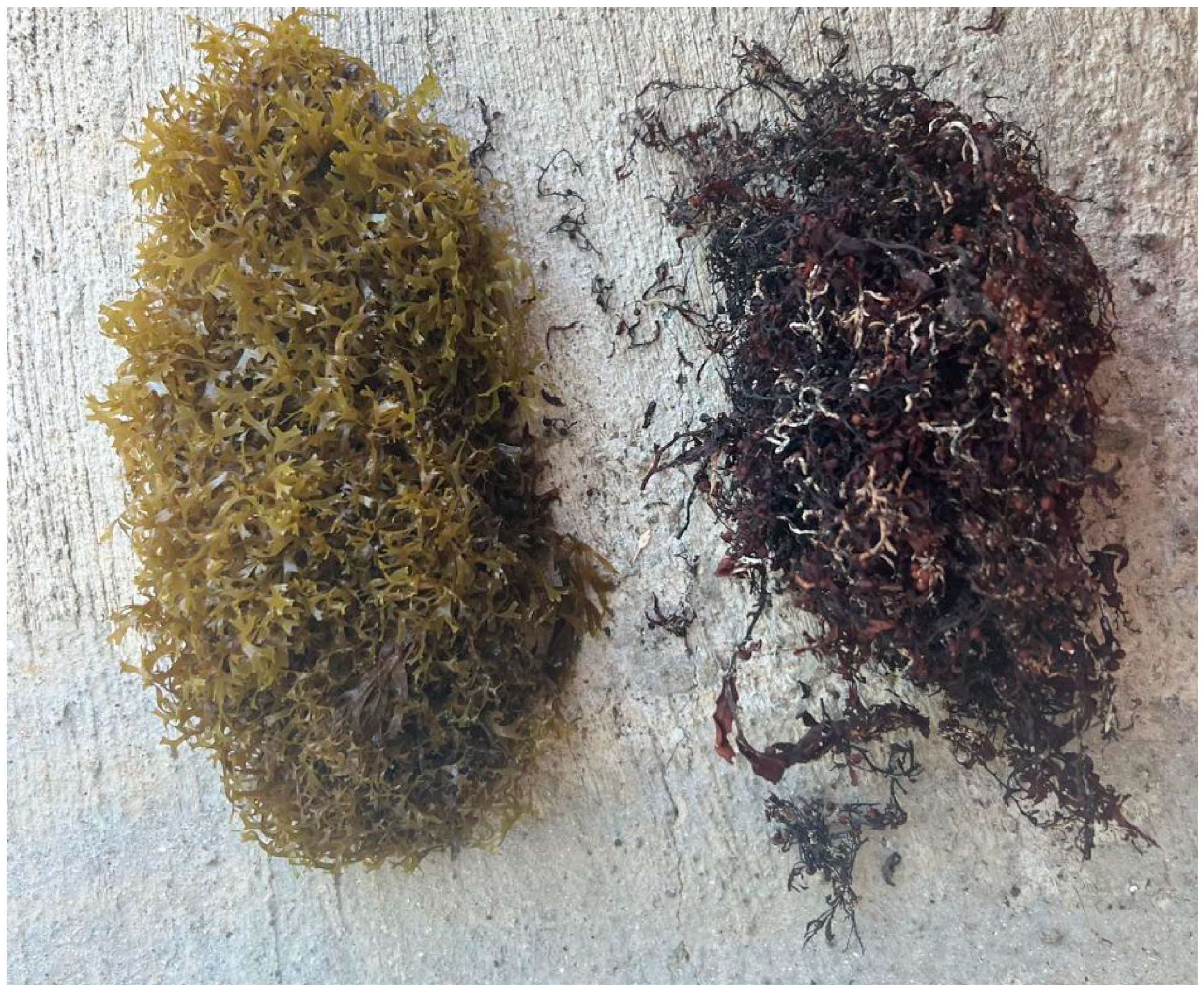 Materials 17 01785 g002