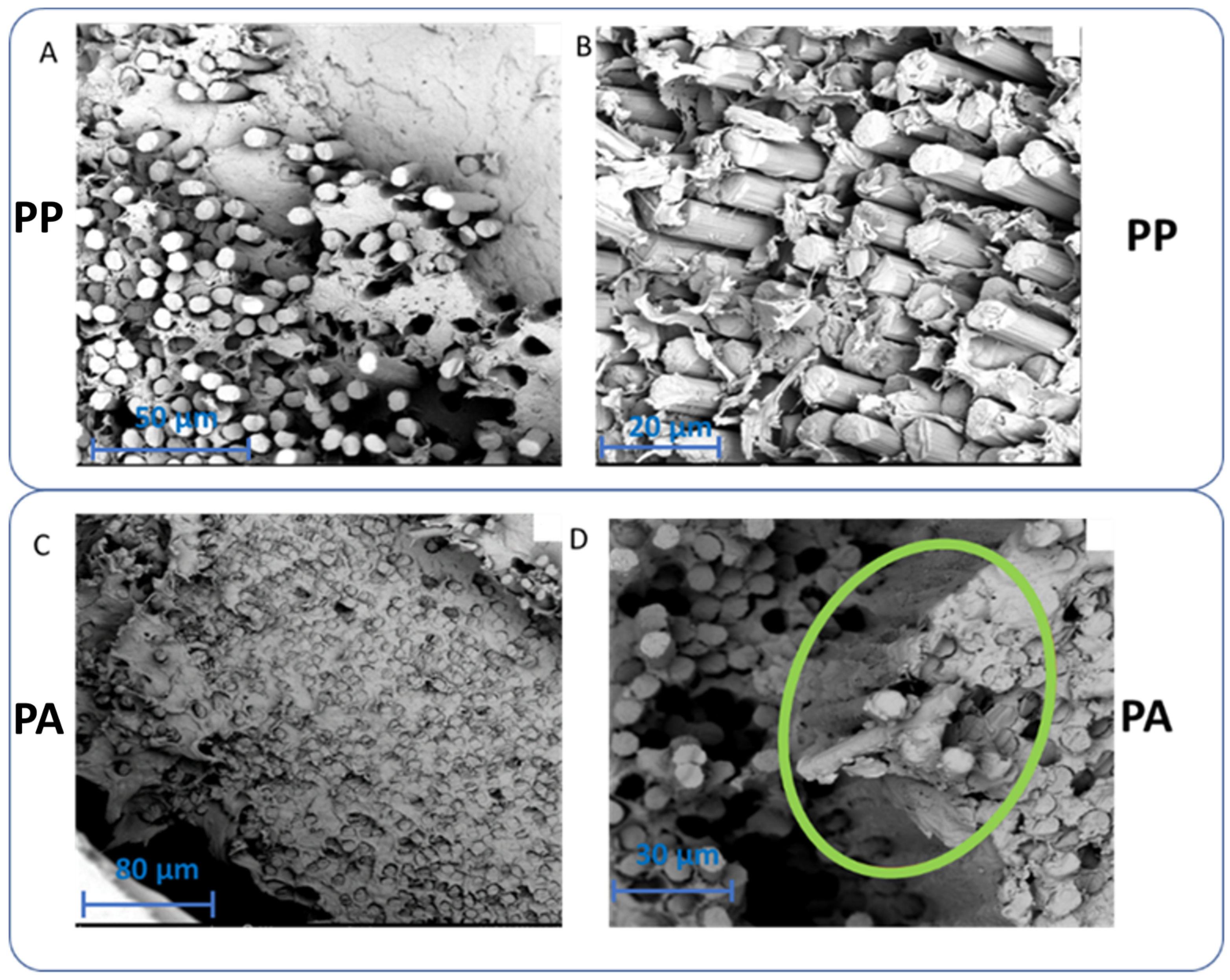 Materials 17 01788 g005