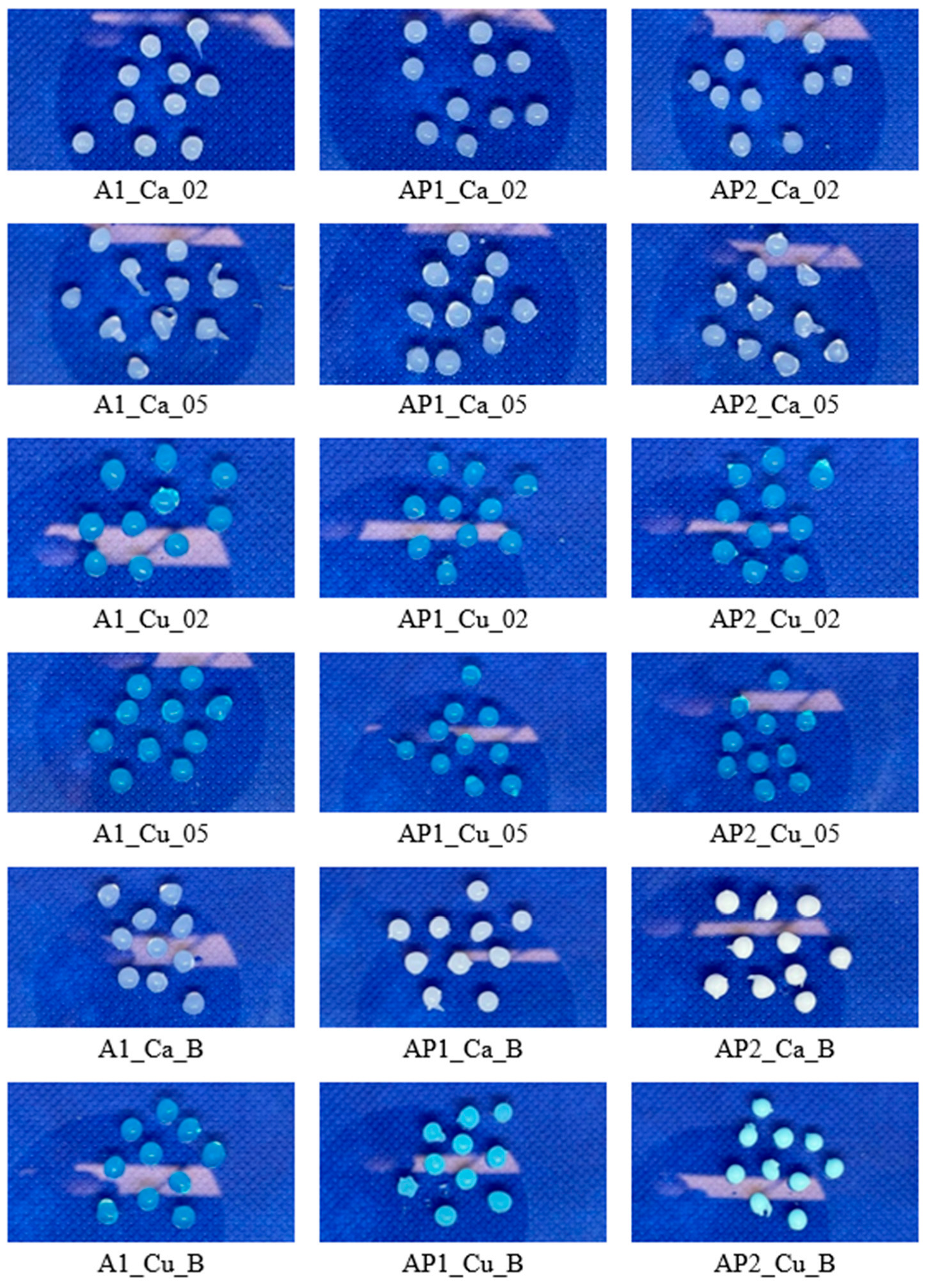 Materials 17 01816 g001