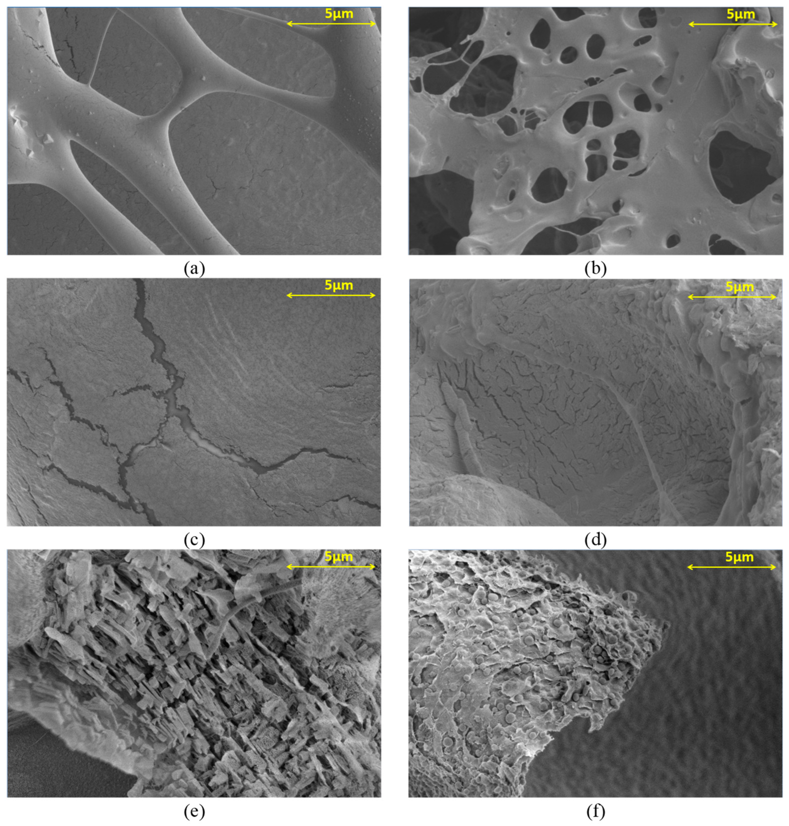 Materials 17 01816 g004