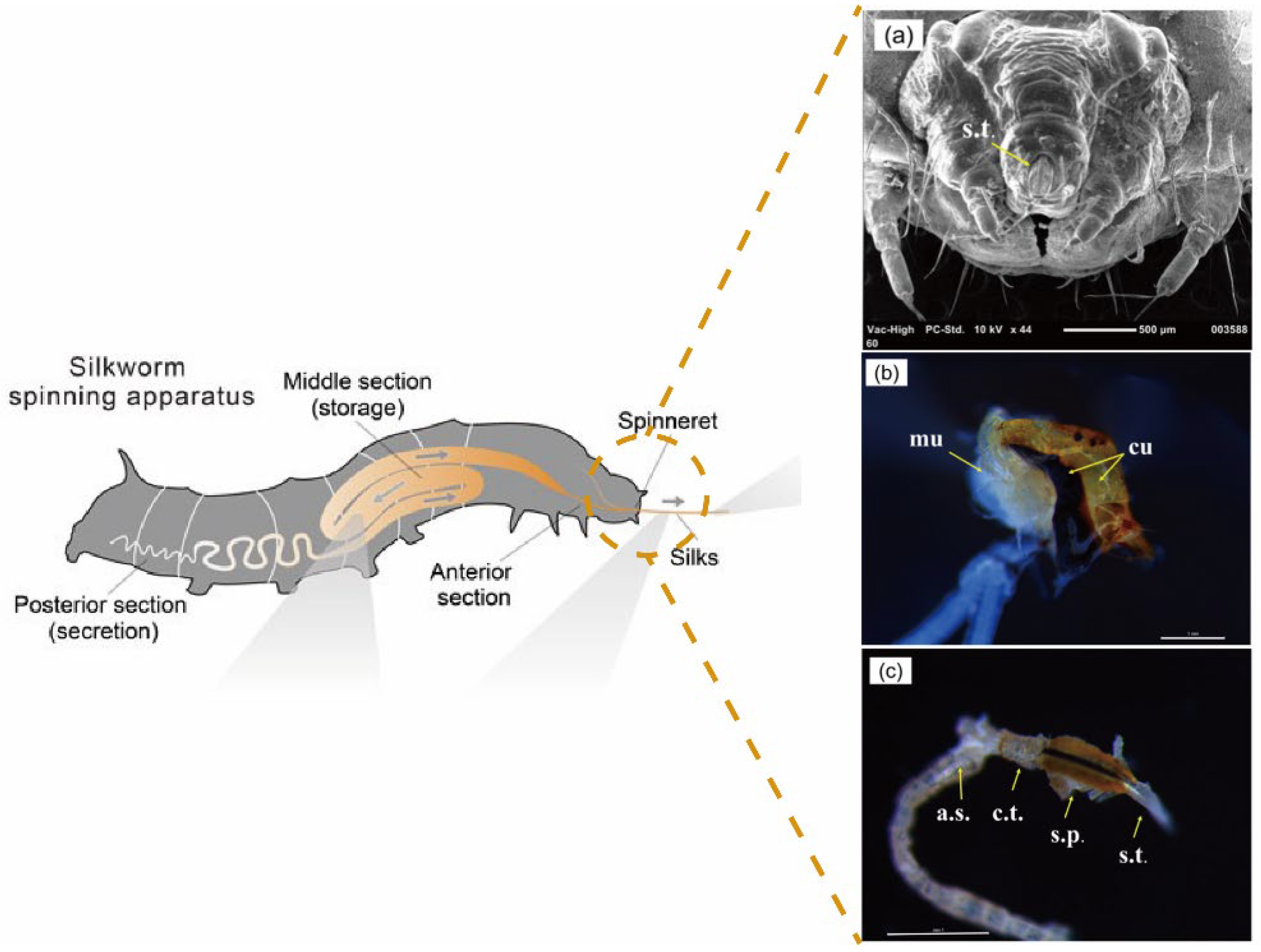 Materials 17 01834 g004