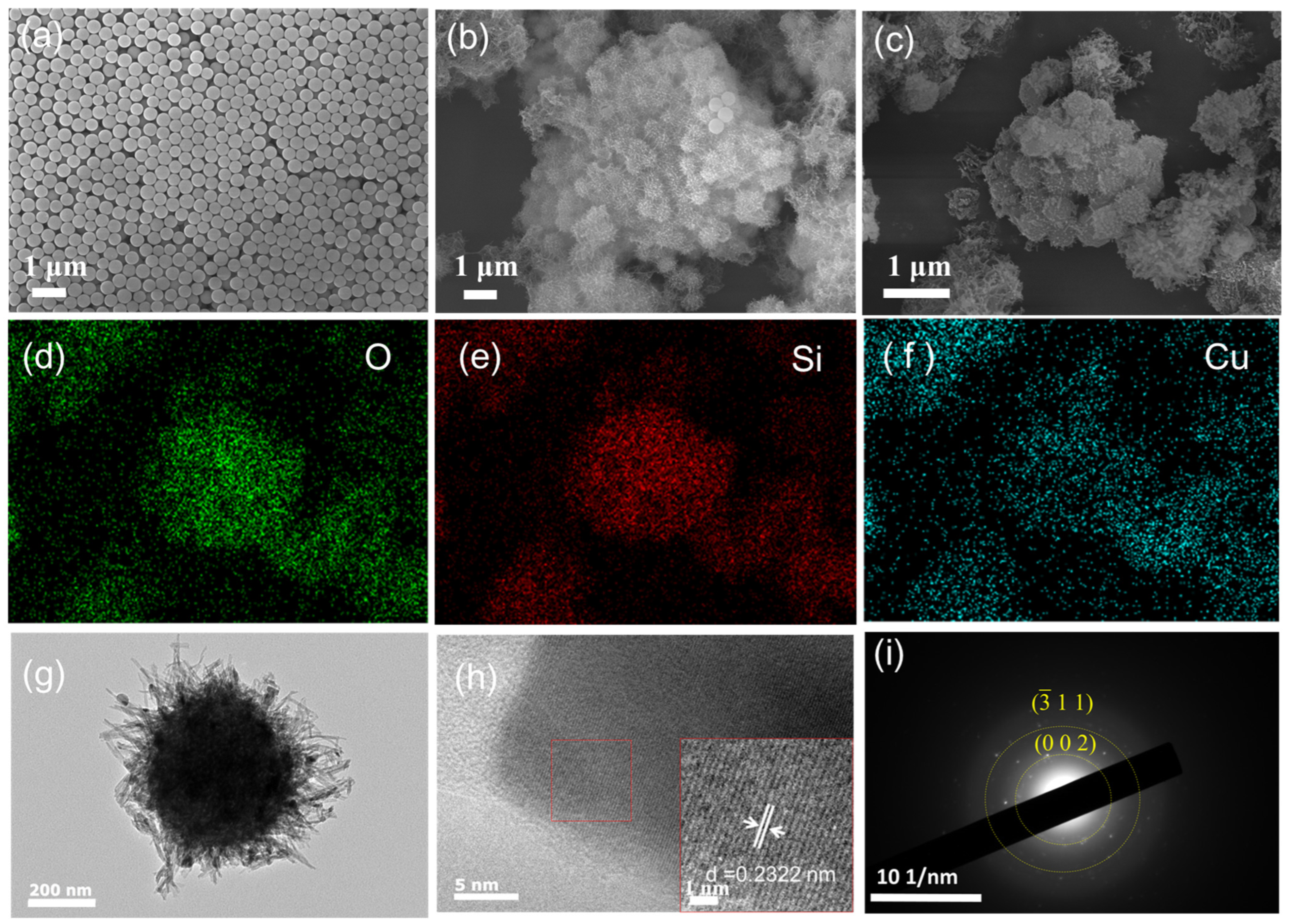 Materials 17 01849 g003