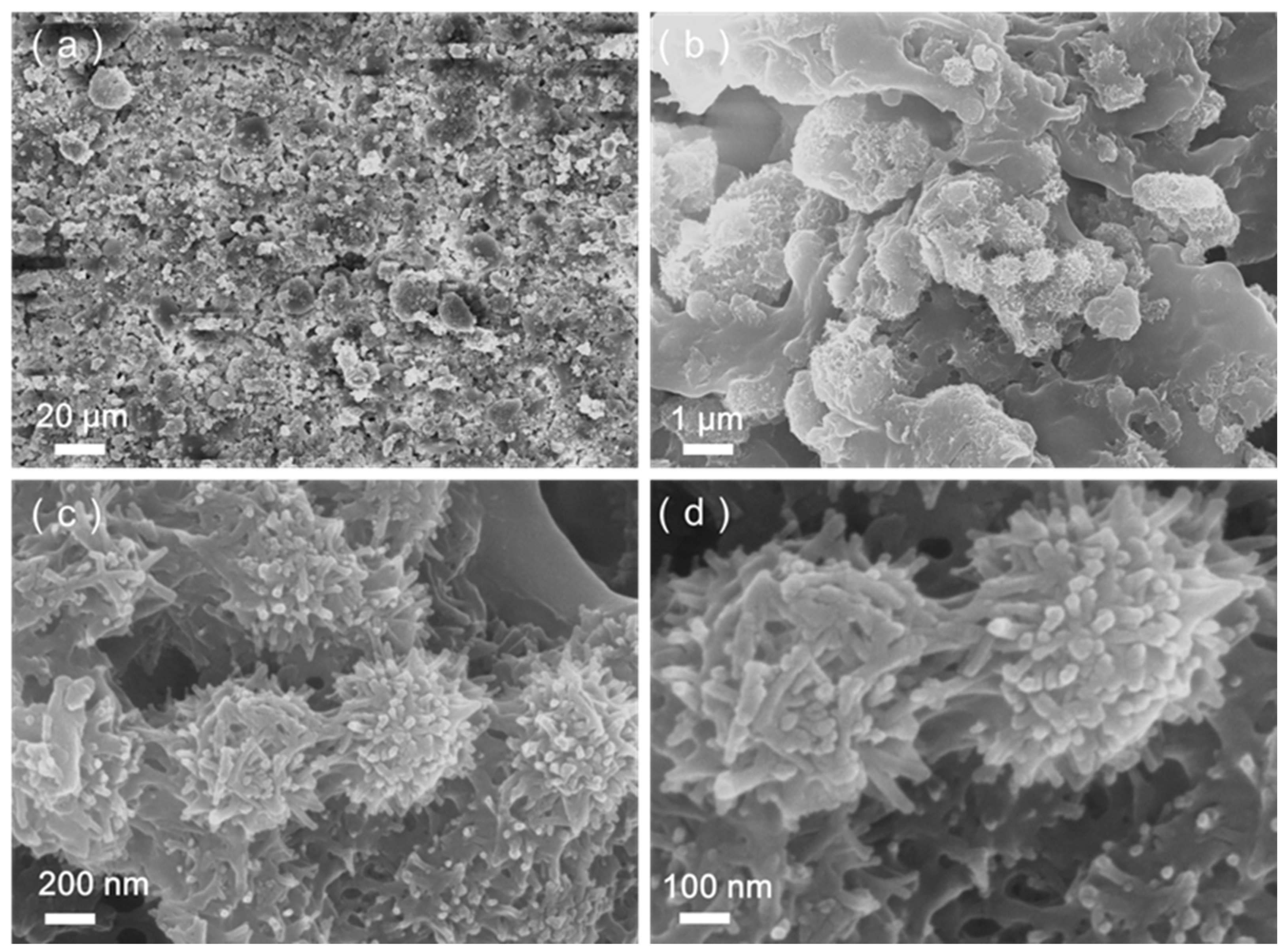 Materials 17 01849 g007