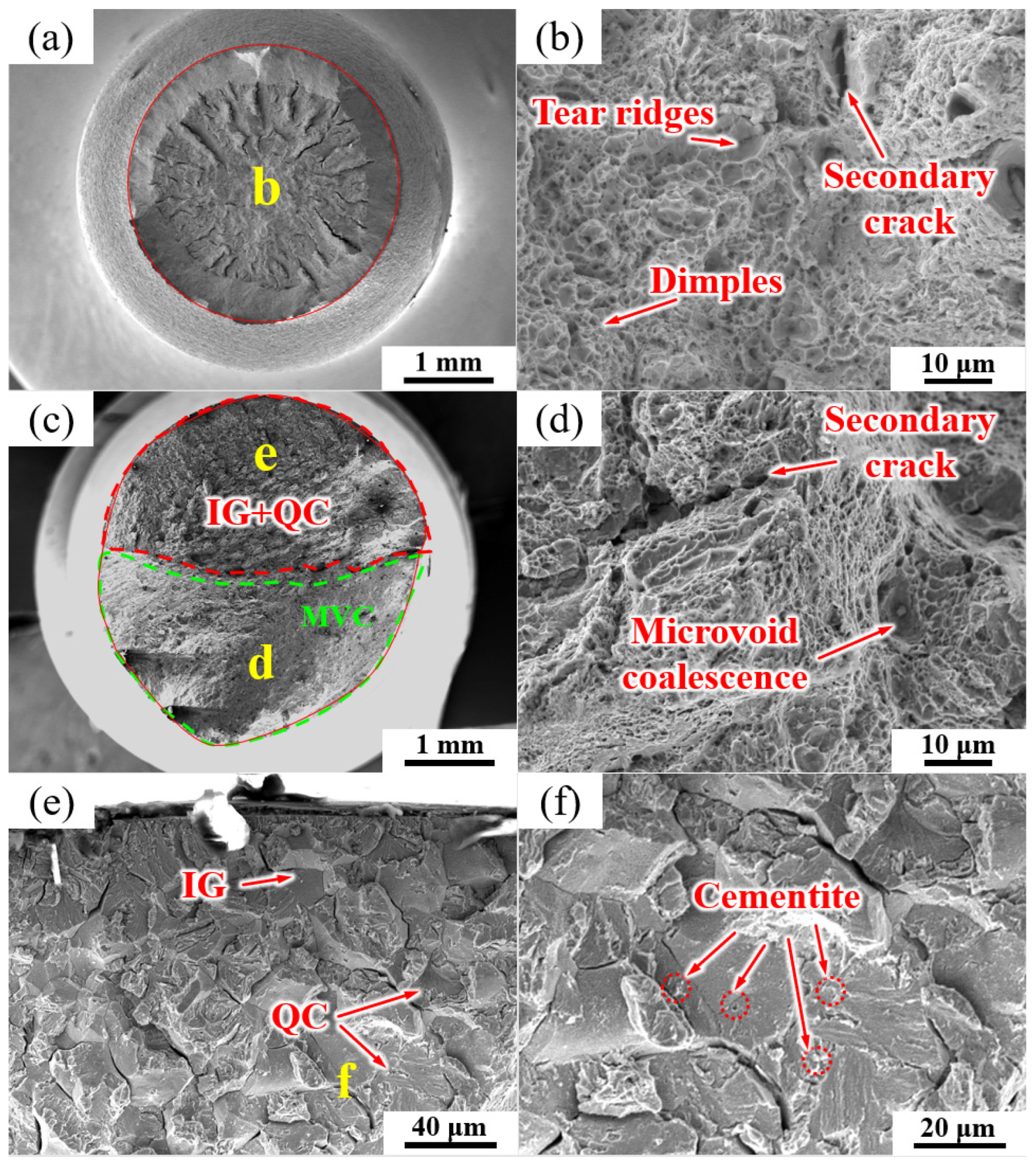 Materials 17 01854 g011
