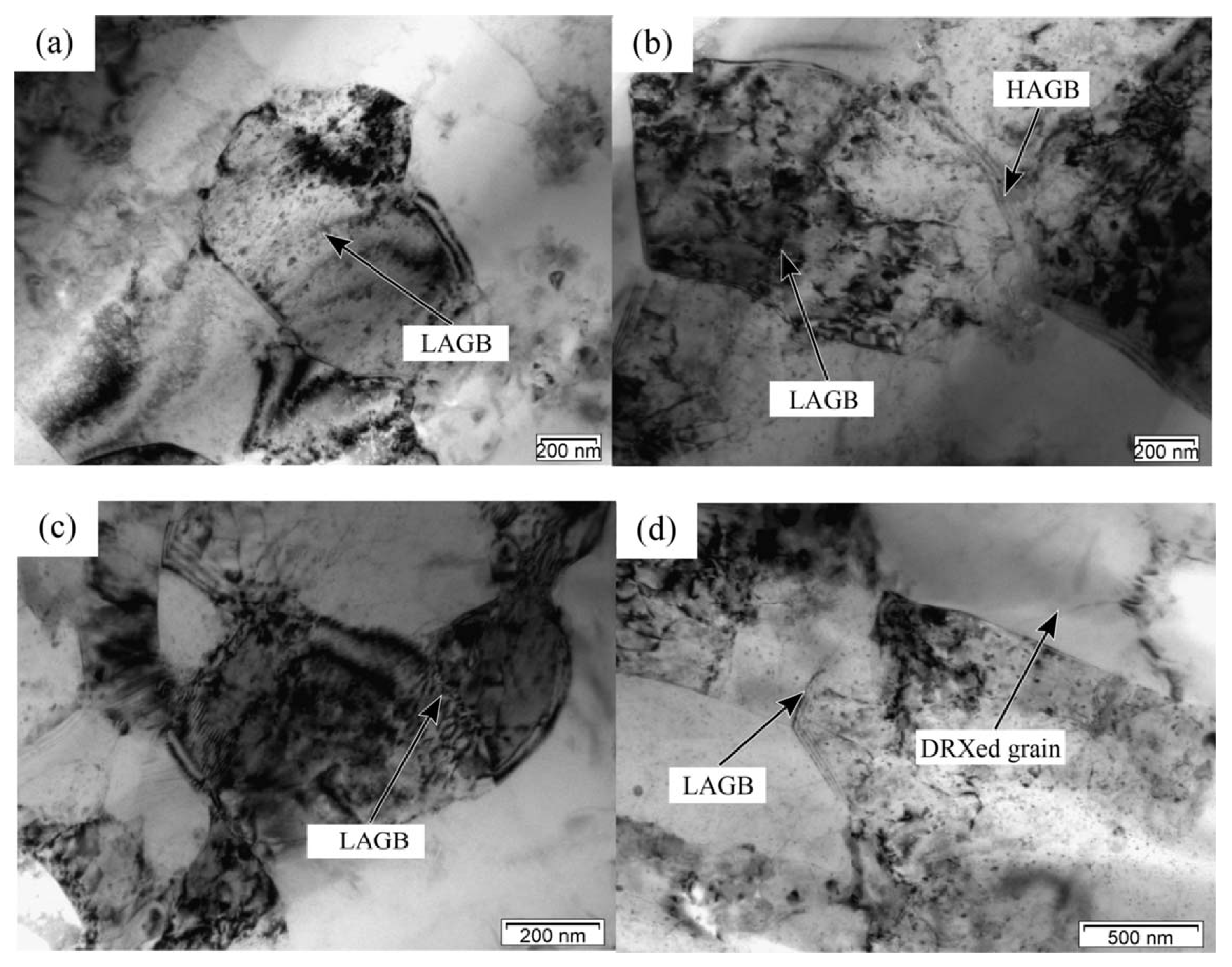 Materials 17 01879 g011